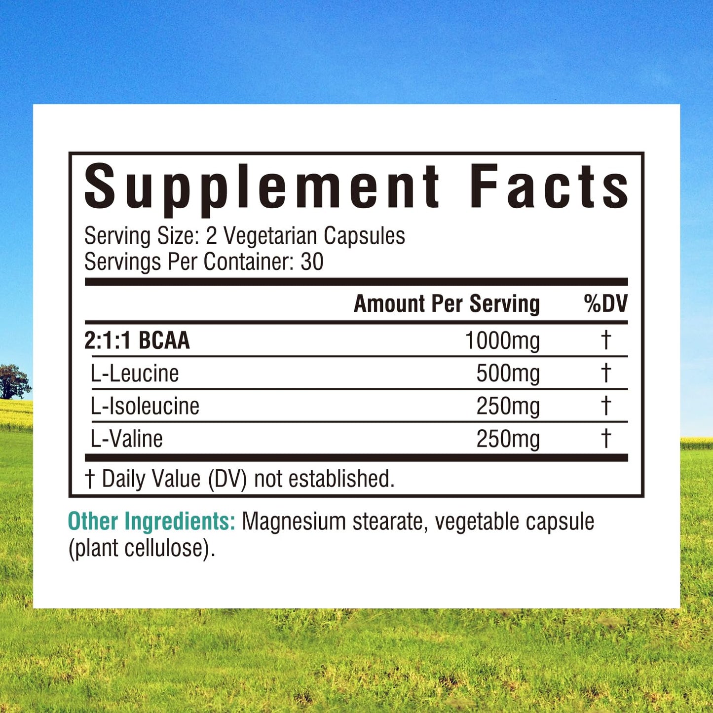 Innate Vitality BCAA Capsules, 60 Count