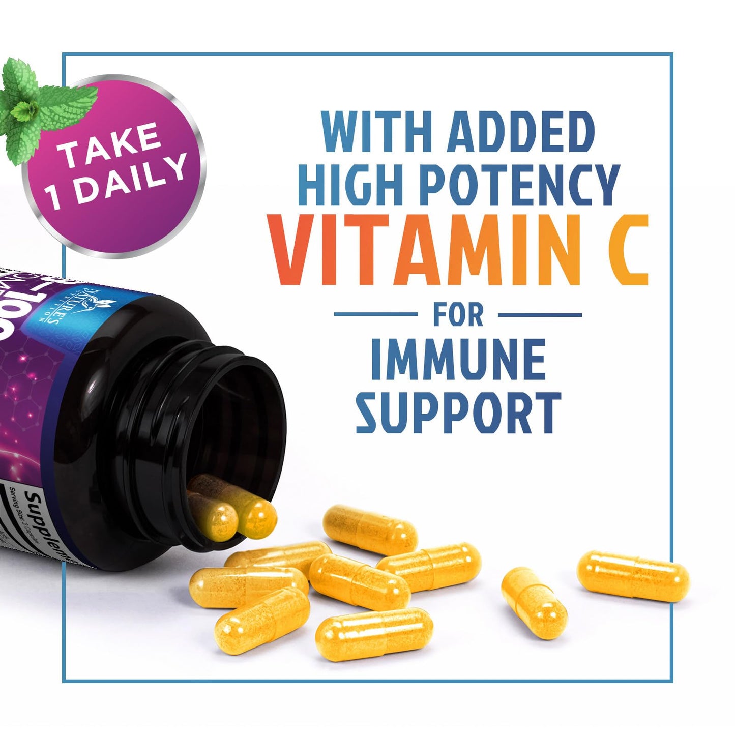 Nature's Nutrition B Complex Vitamins Capsules - Super Complete B-100 Complex with Vitamin B12 B6 C Biotin Folate & Folic Acid for Immune & Energy Support, 60 Capsules