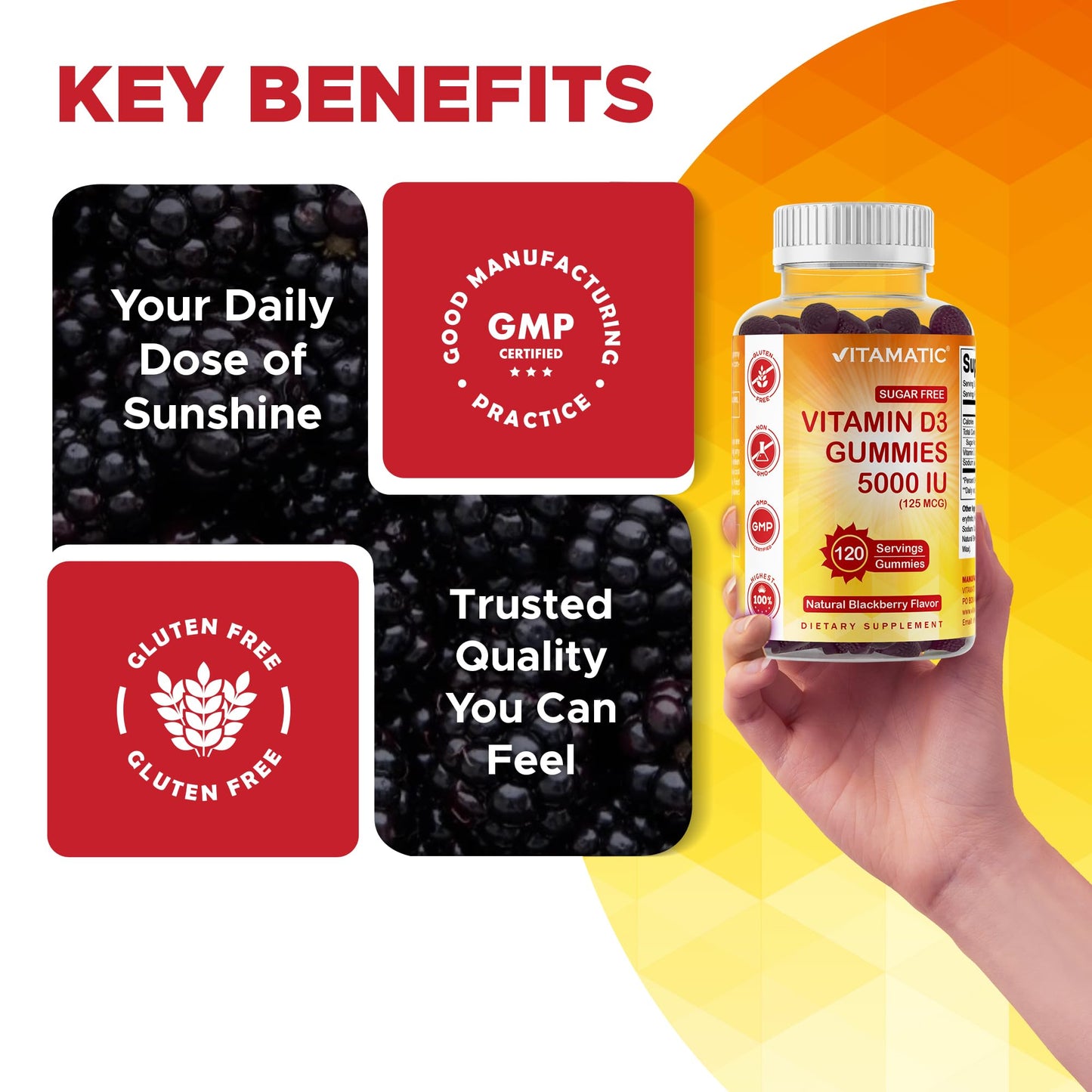 Vitamatic Sugar Free Vitamin D3 5000 IU Gummy, 240 Count