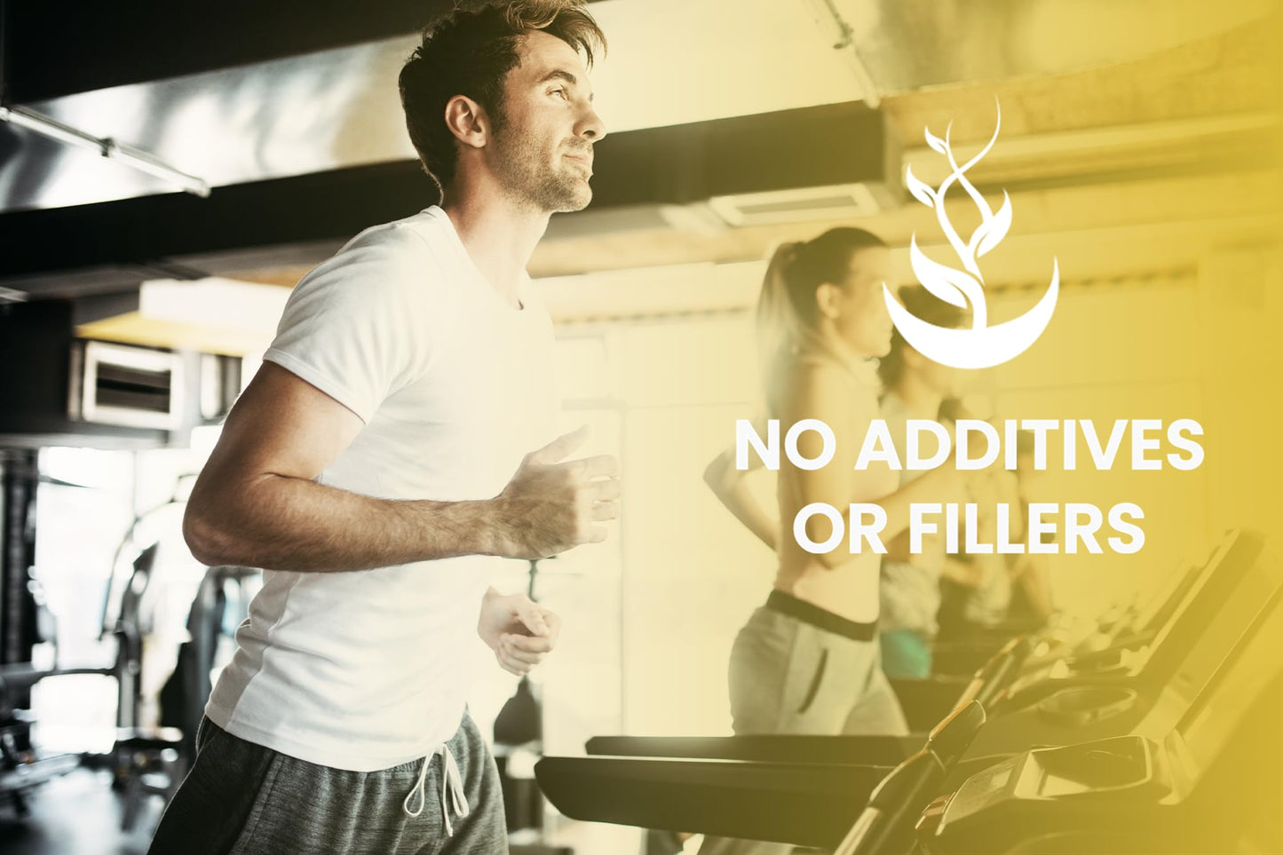 Pure Original Ingredients HMB Capsules 365