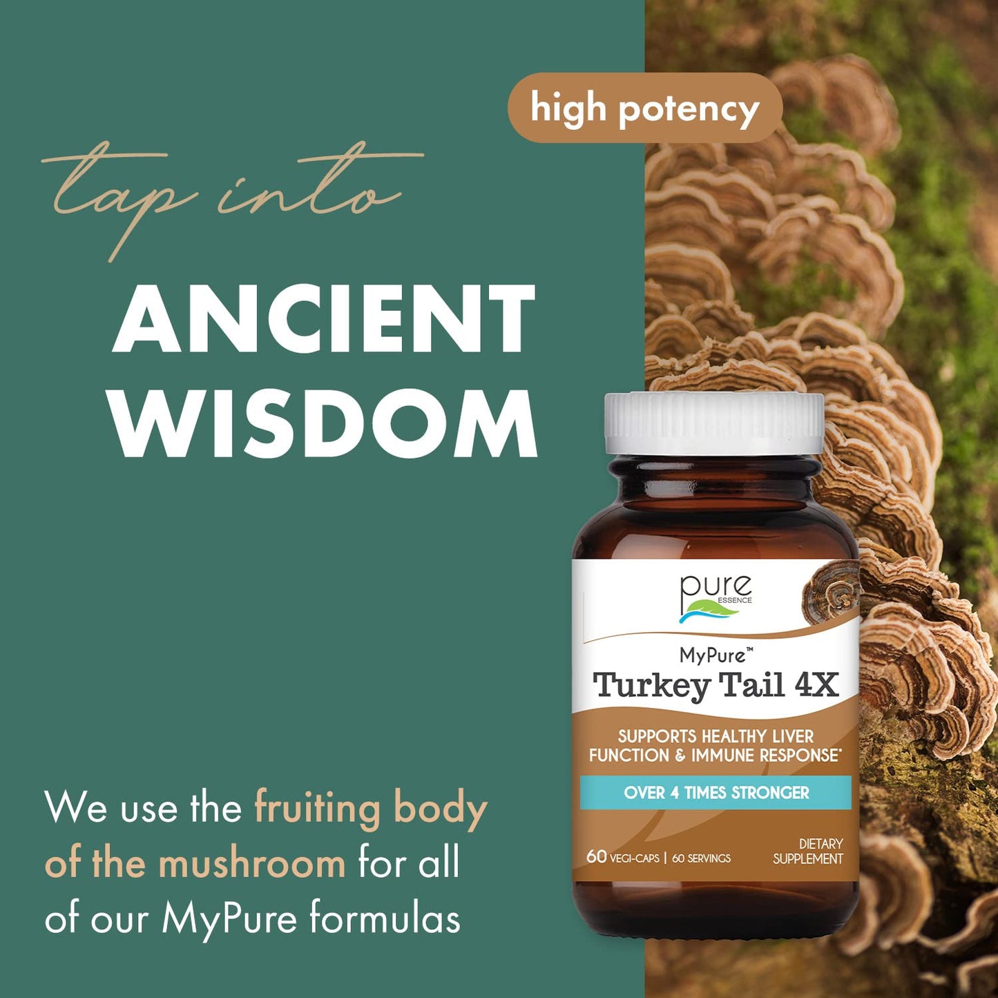 PURE ESSENCE LABS Organic Turkey Tail 4X Mushroom Extract, Vegan Mushrooms Supplement for Immune Building, 60 Capsules