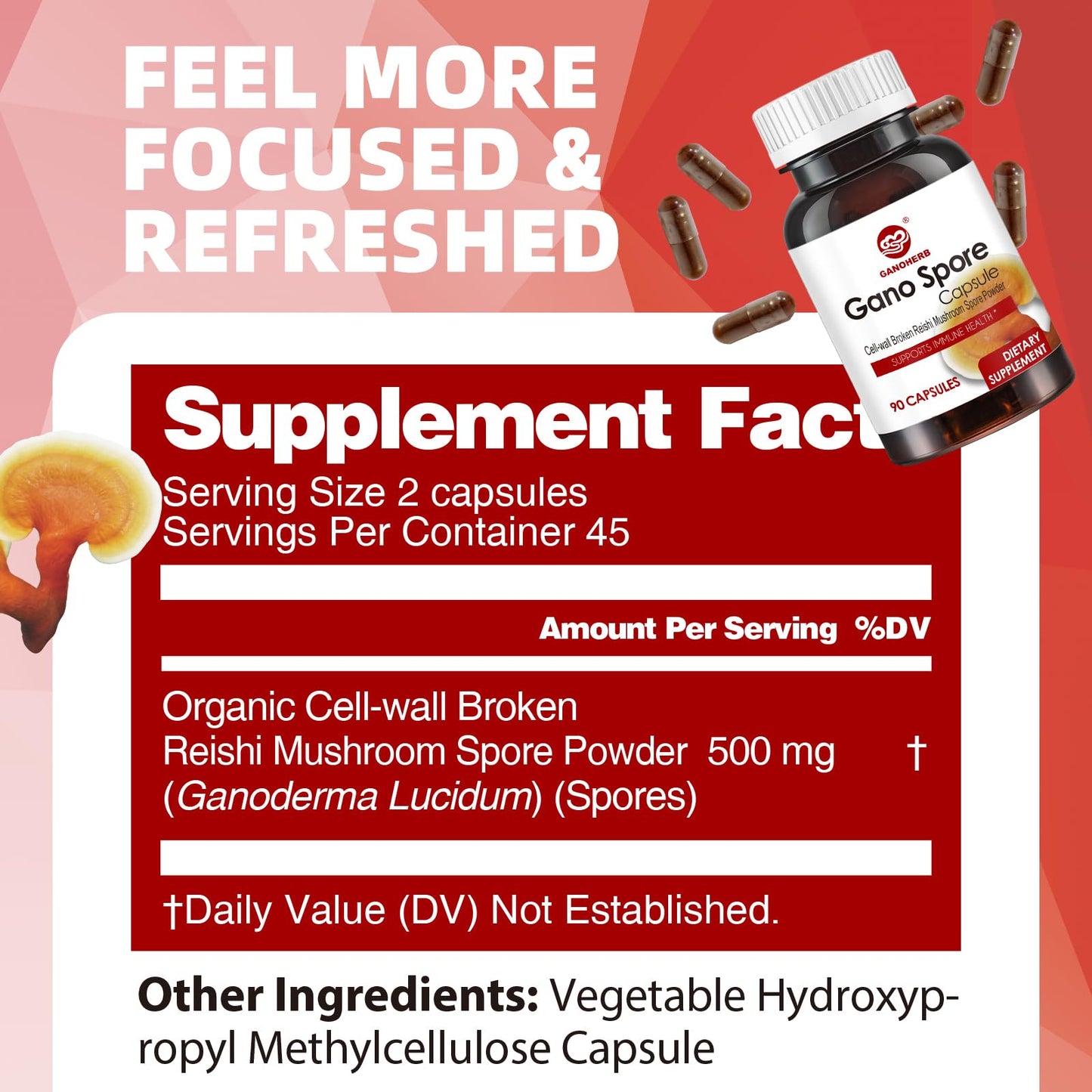 GANOHERB Organic Reishi Mushroom Capsules 60 Capsules