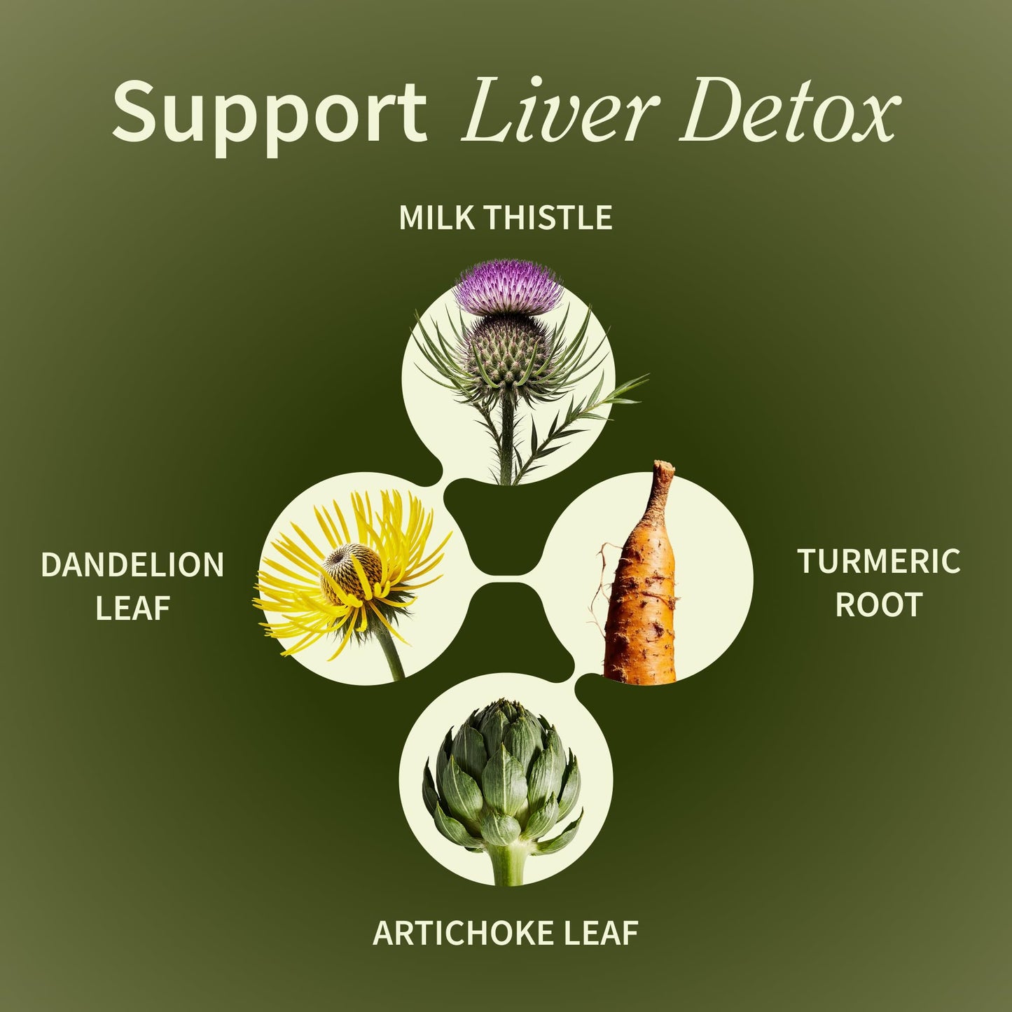 Snap Supplements Milk Thistle Silymarin Liver Support & Detox Capsules, 60 Count