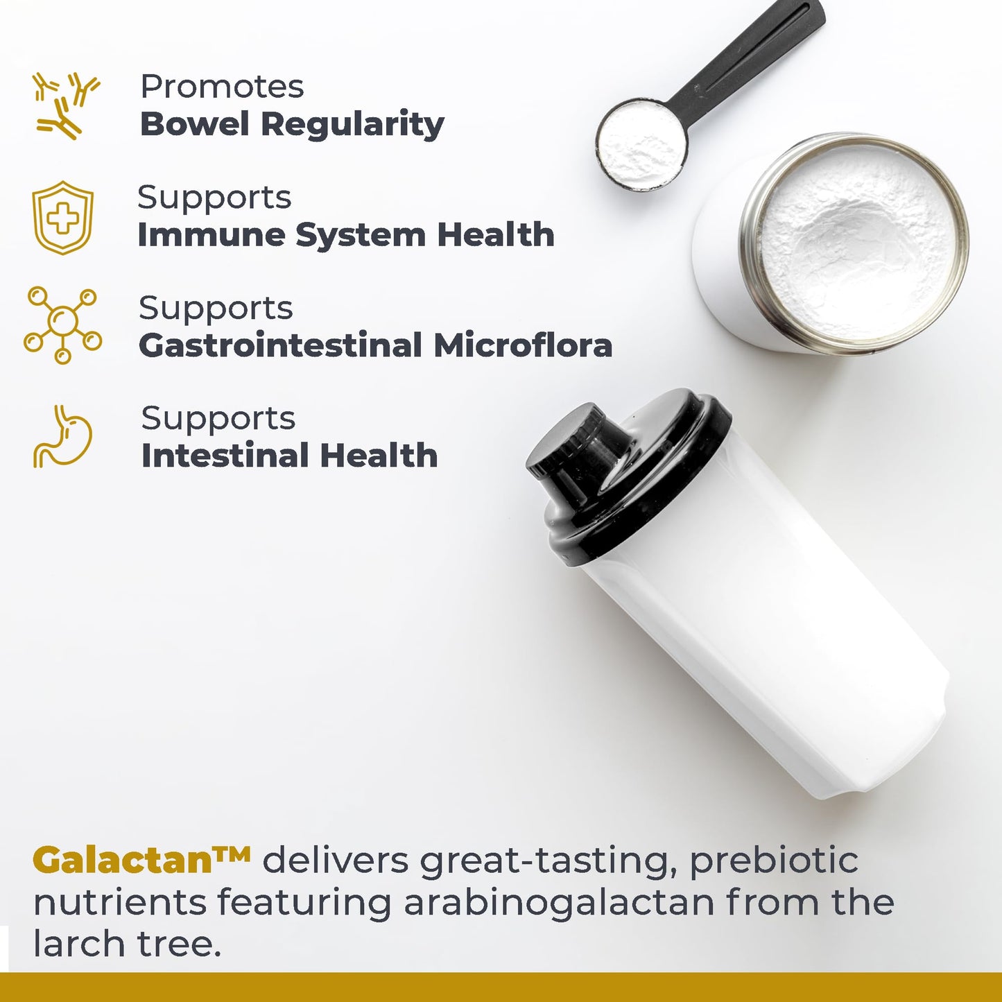 Premier Research Labs Galactan Larch Arabinogalactan Powder, Prebiotic Fiber for Gut Health, with Calcium, 8 oz
