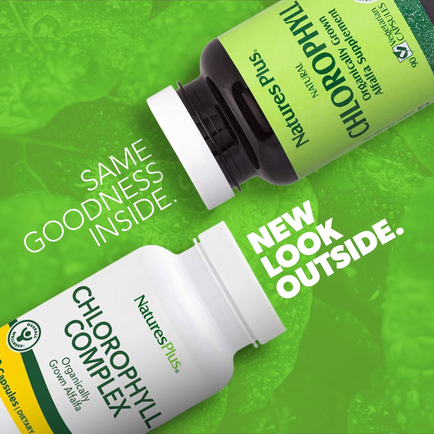 NaturesPlus Chlorophyll Complex Capsules 90 Count