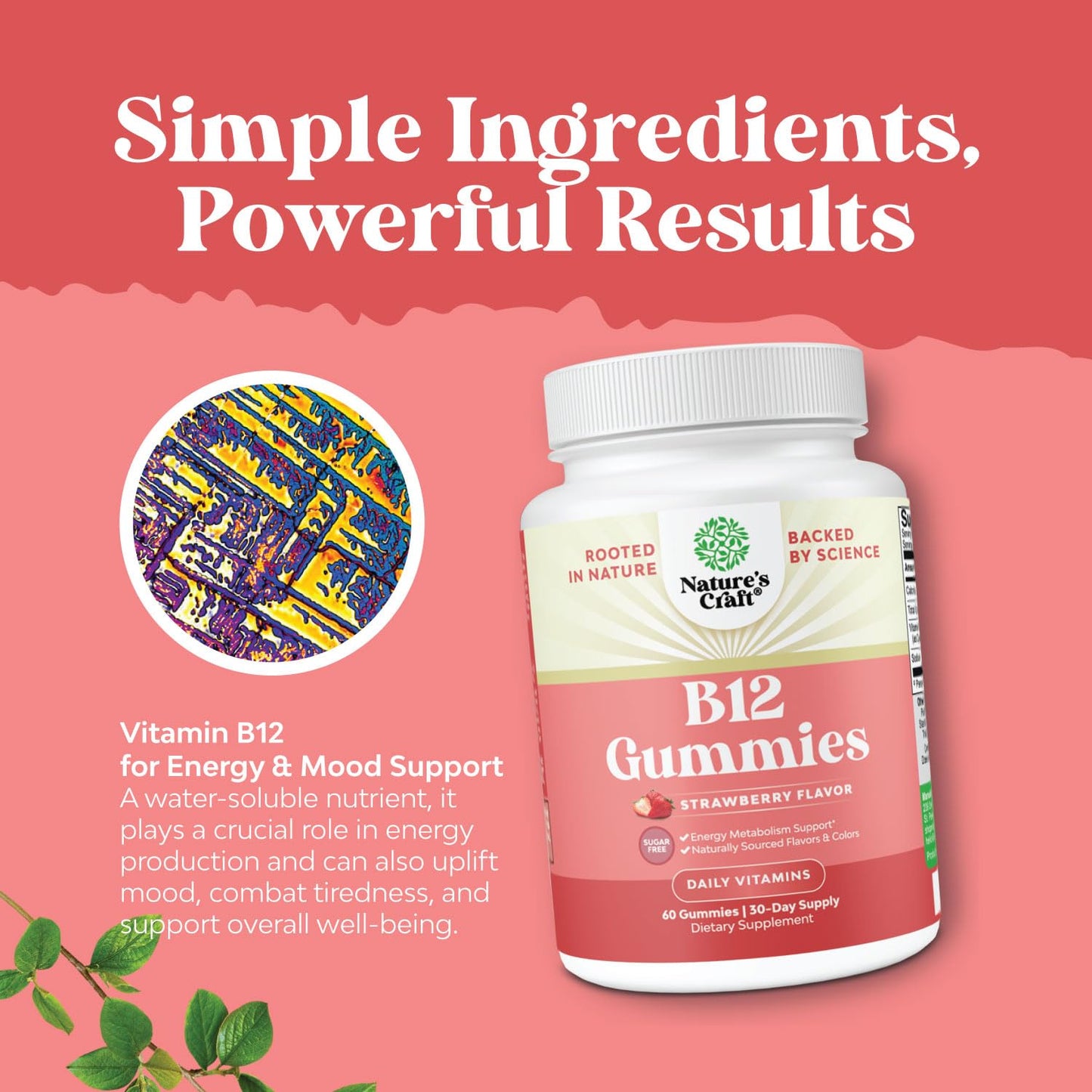 Natures Craft Vitamin B12 Gummies Sugar Free 1000mcg, 60 Count