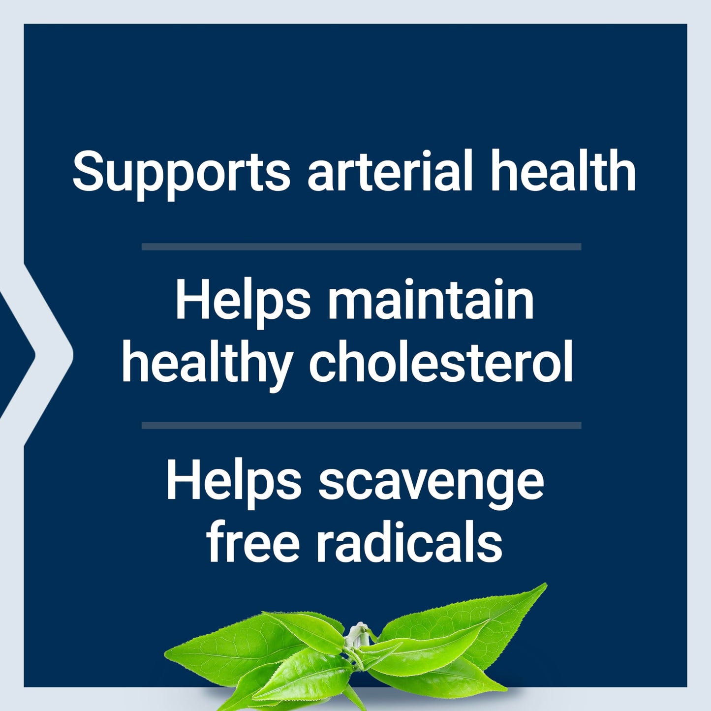 Life Extension Theaflavin Standardized Extract Tea Leaf Flavonoids Capsules, 30 Count