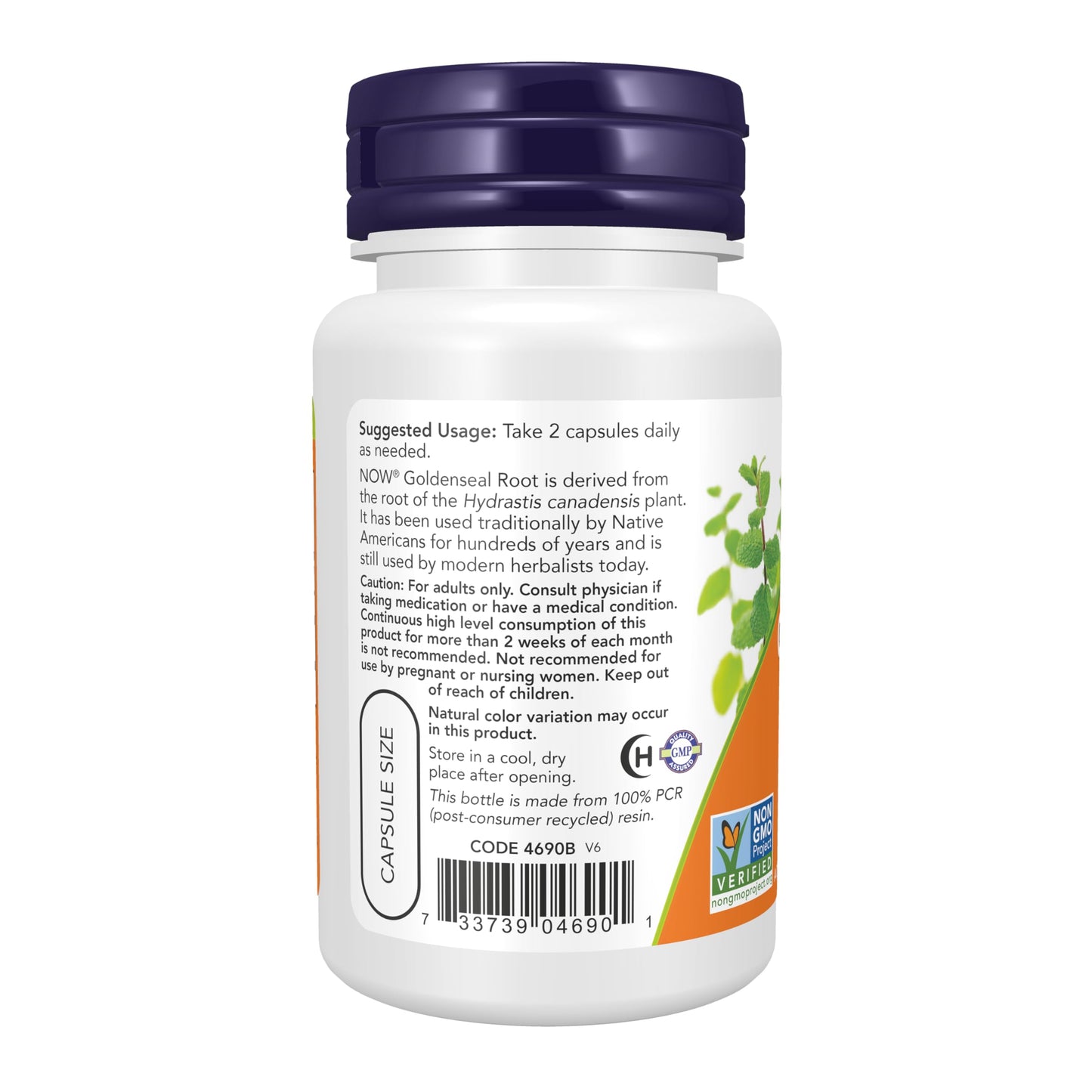 NOW Foods Goldenseal Root (Hydrastis canadensis) 500 mg Capsule, 50 Veg Capsules