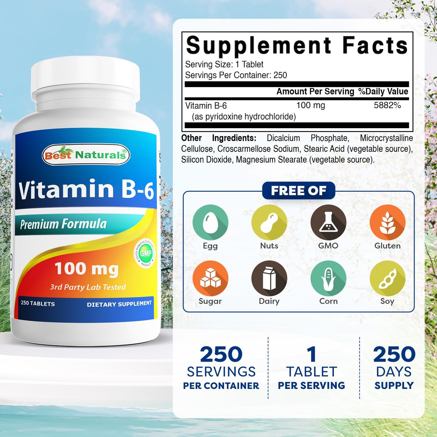 Best Naturals Vitamin B6 Tablet, 100 mg, 250 Tablets