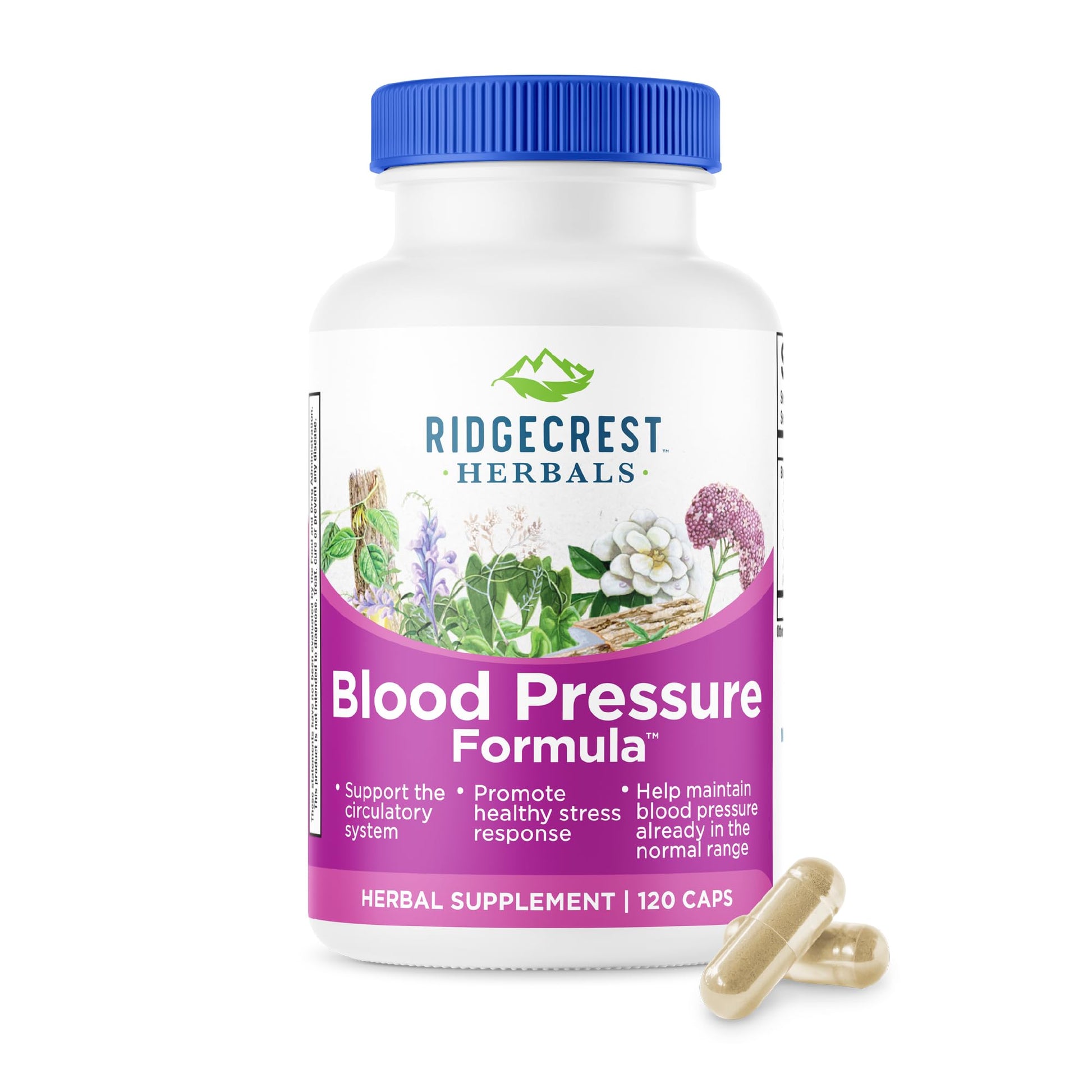 RidgeCrest Herbals Blood Pressure Herbal Formula Capsule, 120 Count