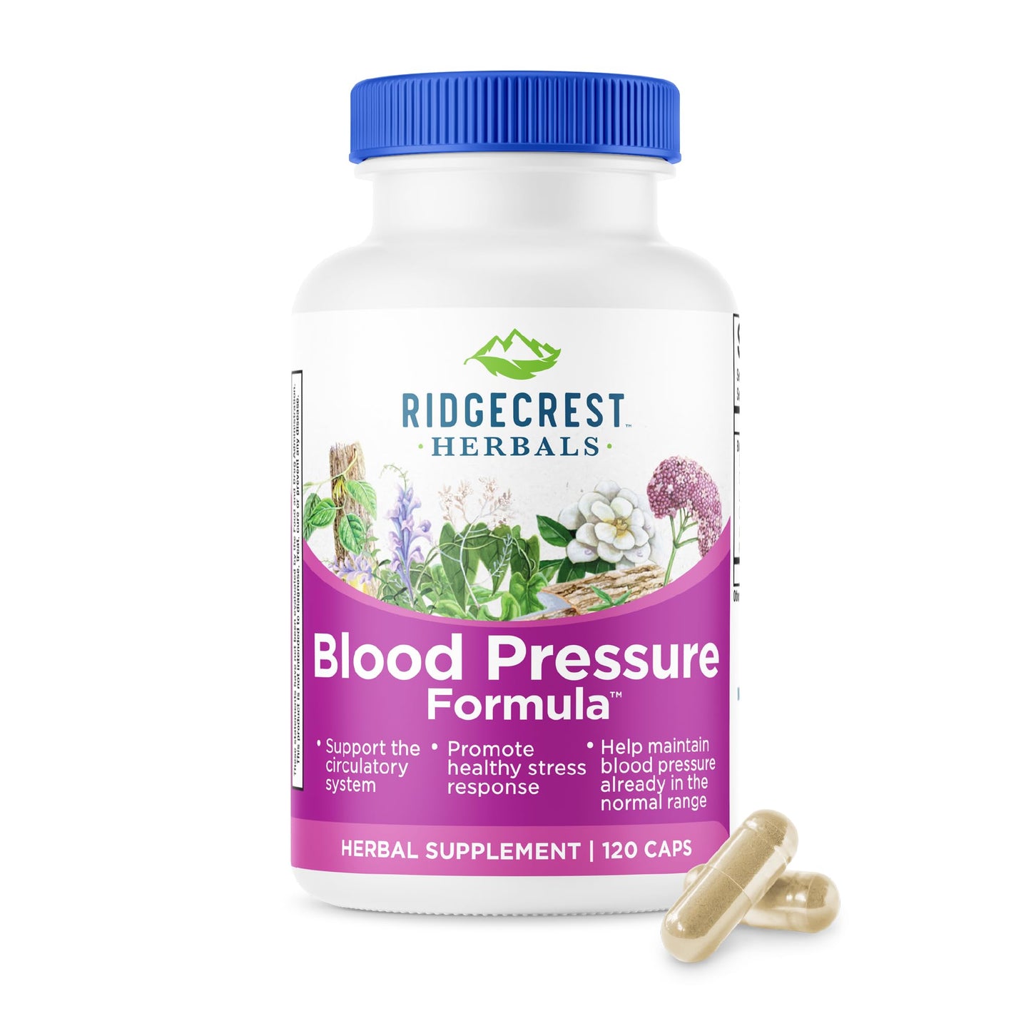RidgeCrest Herbals Blood Pressure Herbal Formula Circulation Support Capsules 120