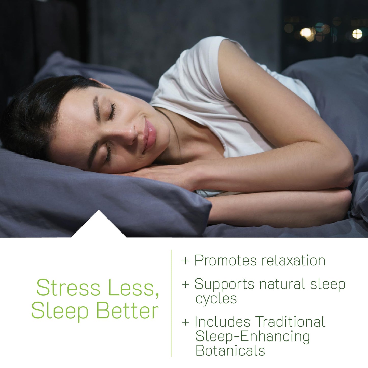 Irwin Naturals Power to Sleep PM Melatonin-Free GABA Softgels 100