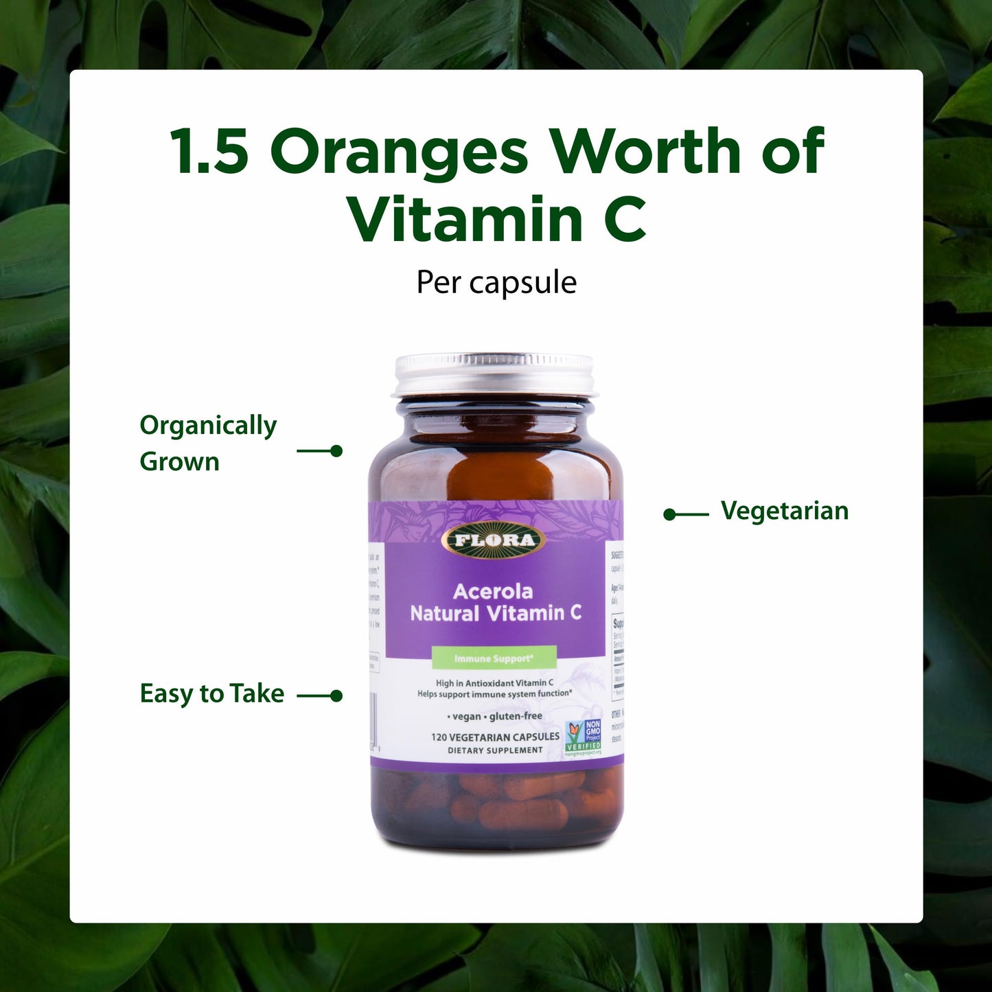 Flora Acerola Natural Vitamin C Daily Immune Booster Gluten Free & Vegan Antioxidant Powder Capsule 120