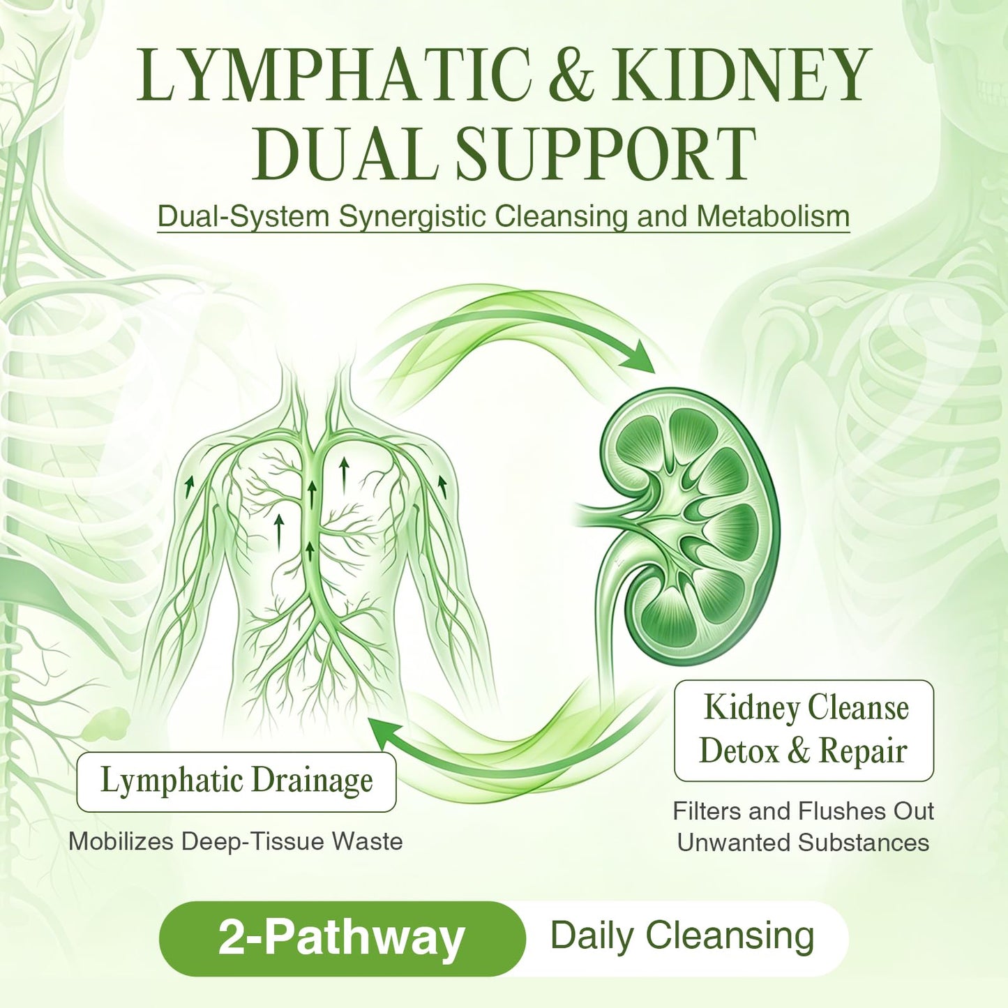GREENPEOPLE Lymphatic Drainage & Kidney Cleansing Supplements Capsule 240 Count