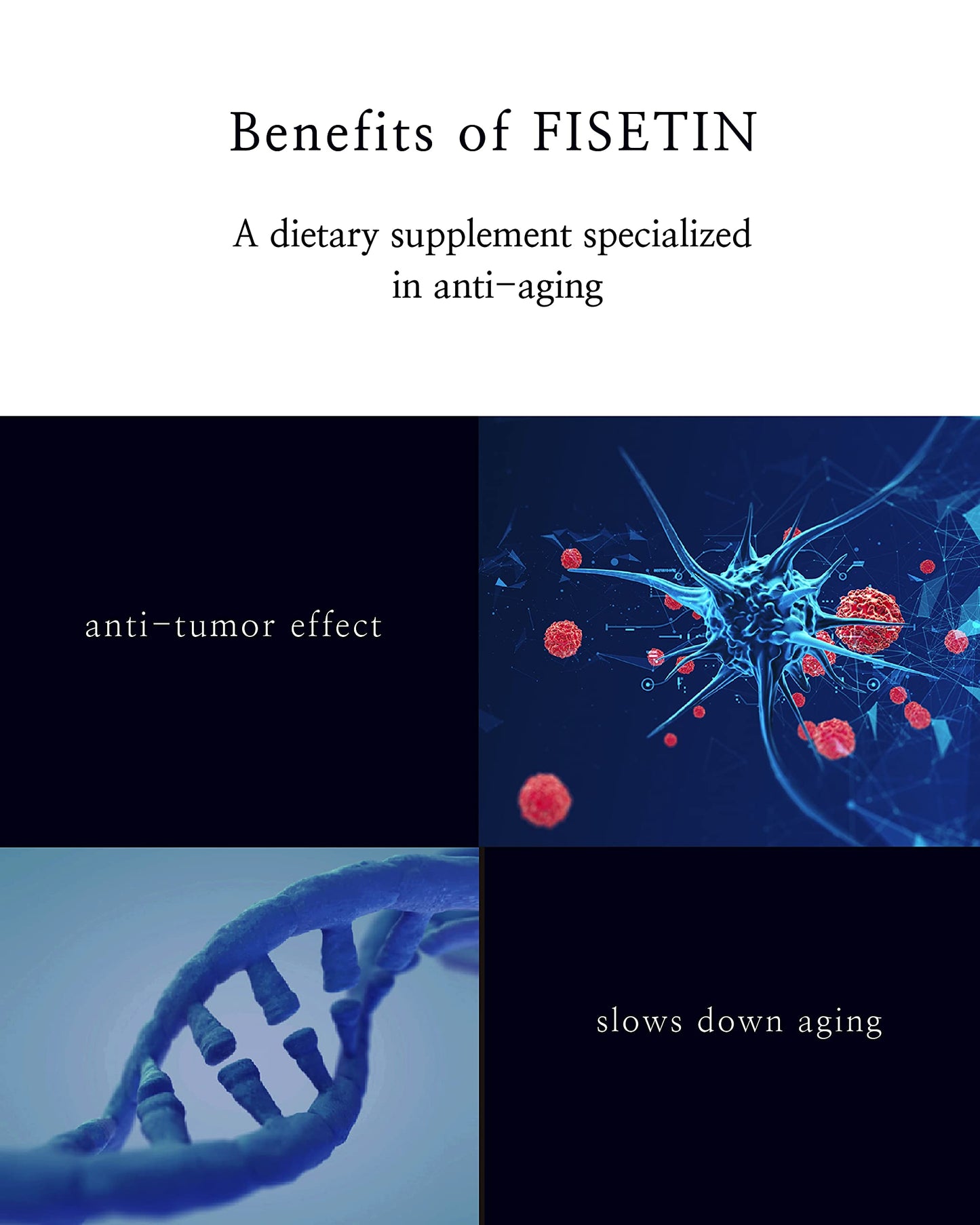 Rejuvecore Fisetin 60 Capsules