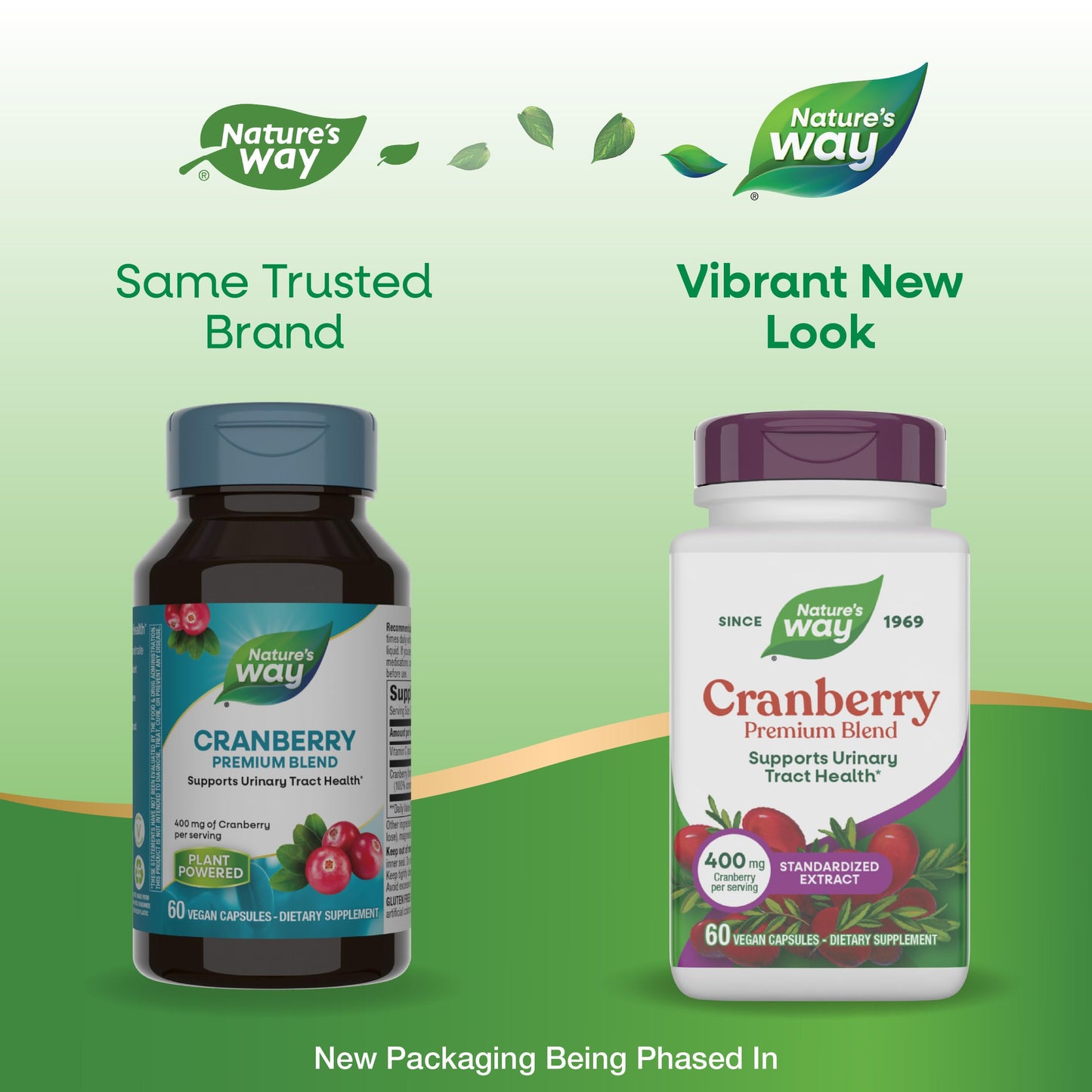 Nature's Way Premium Blend Cranberry Urinary Tract Health Support Capsules, 60 Count