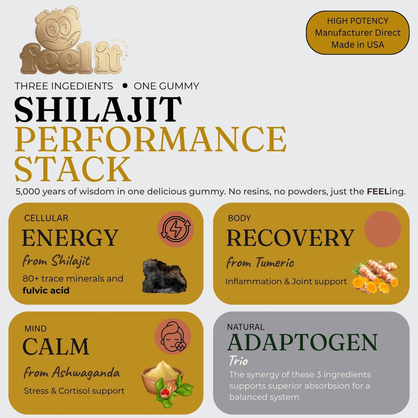 feel it GUMMIES Shilajit Gummies 3000mg per Gummy - Ultra Purified with Fulvic Acid, Ashwagandha & Turmeric, Natural Energy, Focus & Immune Support, 60 Gummies