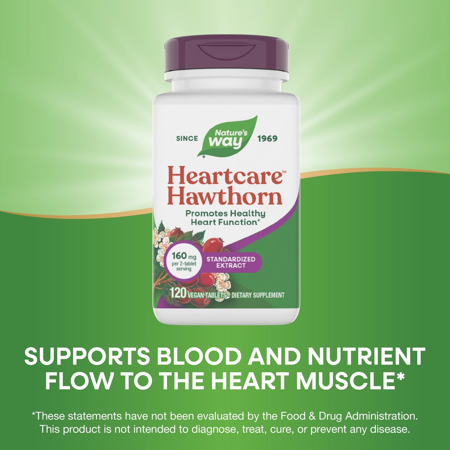Nature's Way HeartCare Hawthorn Tablets, Standardized Extract, 120 Tablets
