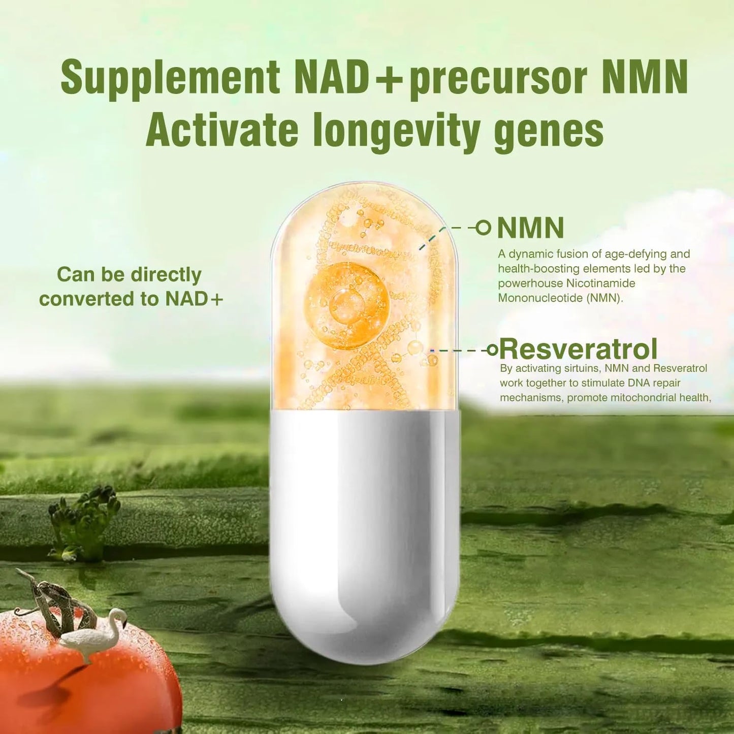 AIDEVI NMN21000 Supplement 300mg Capsule 70 Count