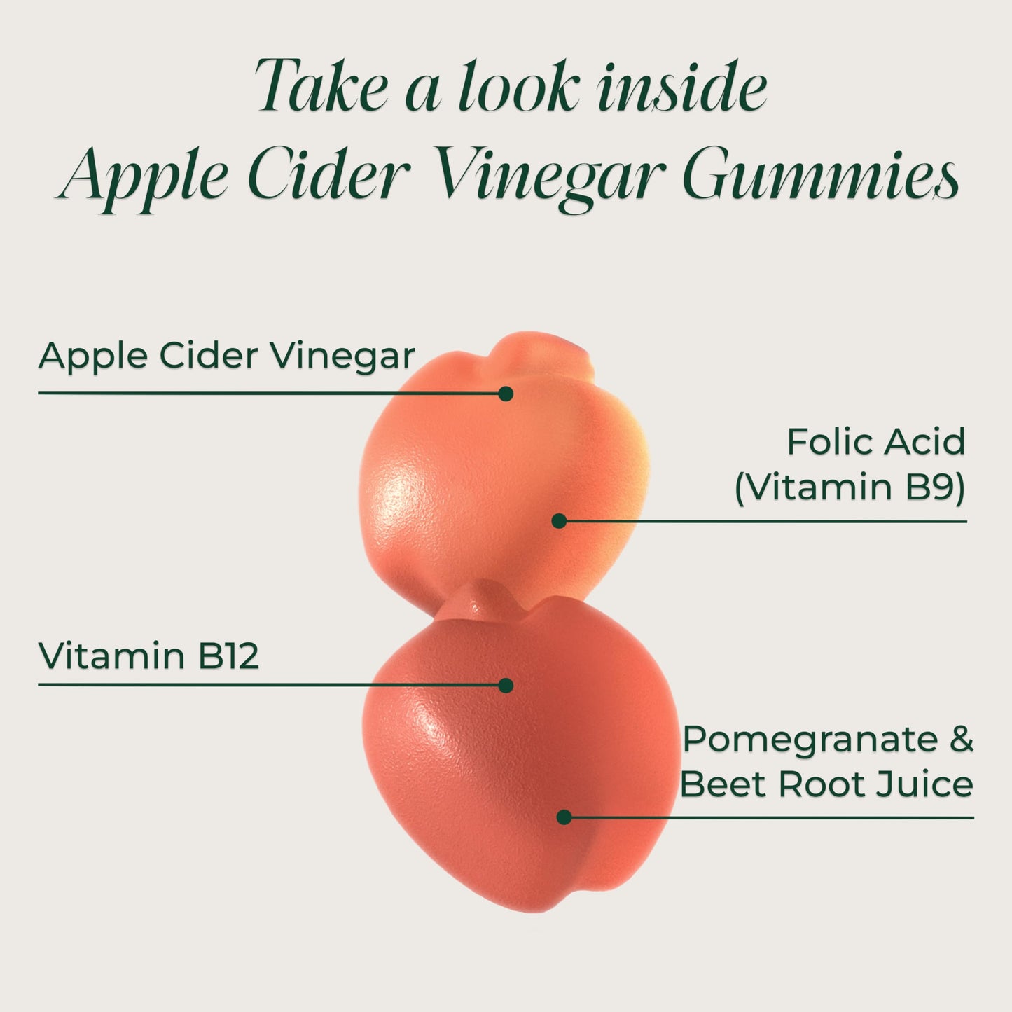 Primal Harvest ACV Gummies, 120 Gummies