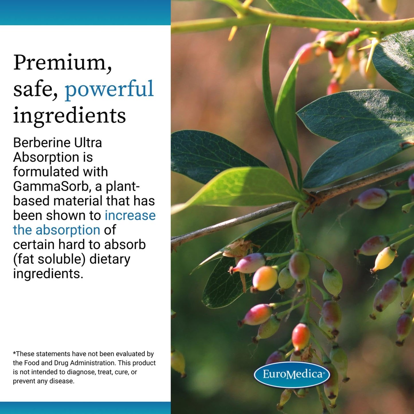 EuroMedica Ultra Absorption Berberine Capsules, 60 Count