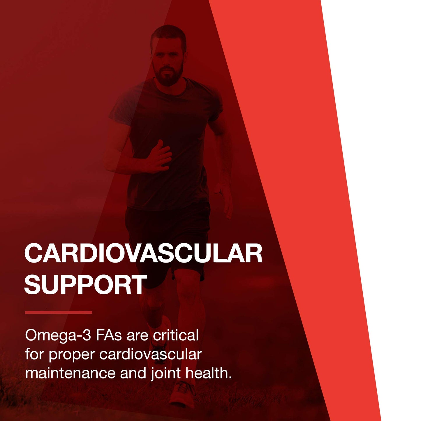 Protocol for Life Balance Ultra Omega 3-D Softgels 90