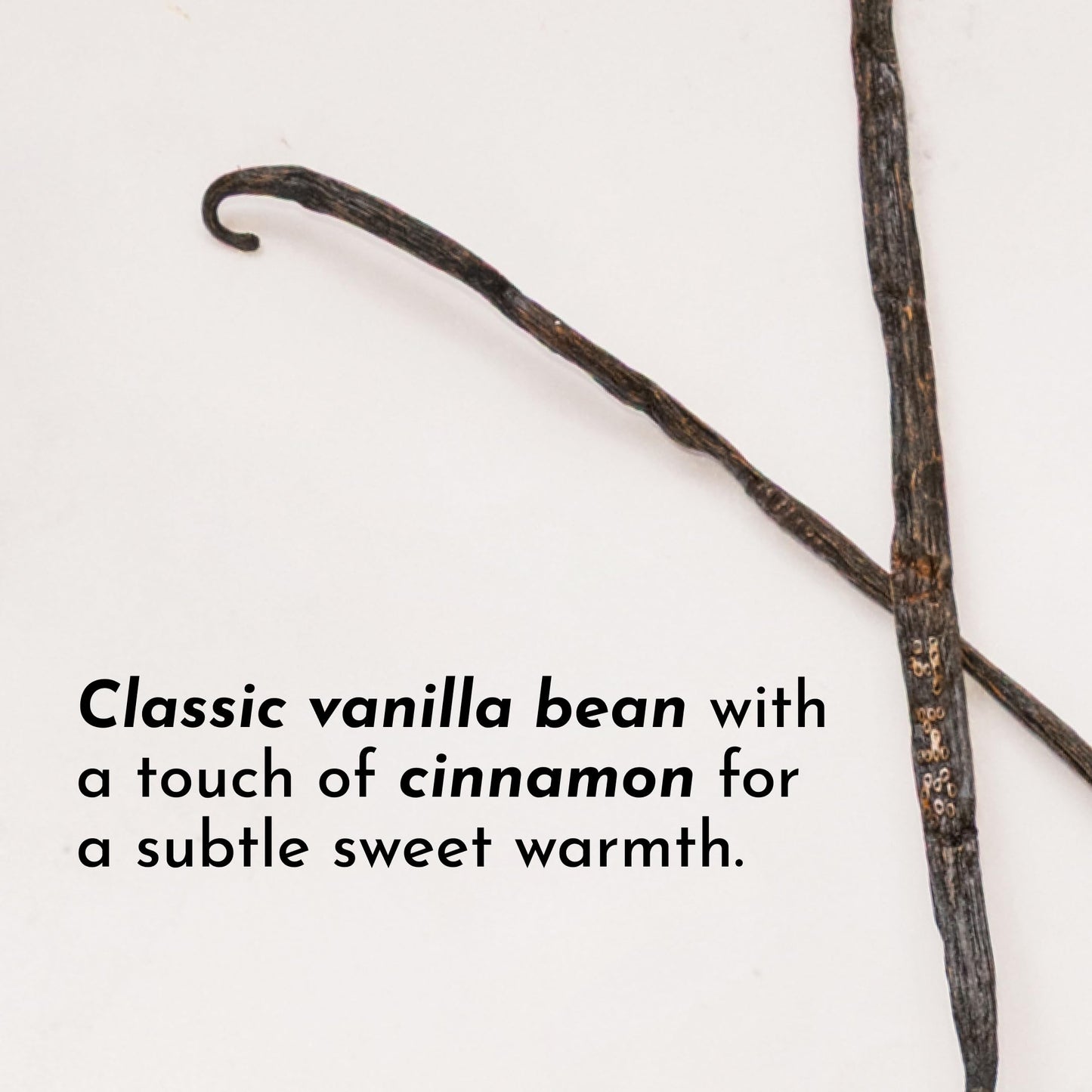 JUST INGREDIENTS Vanilla Bean Protein Powder (20 Servings)
