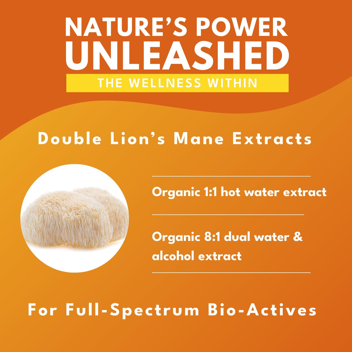 Bold Botanica Organic Lion's Mane Mushroom Supplement Capsules 60 Capsules