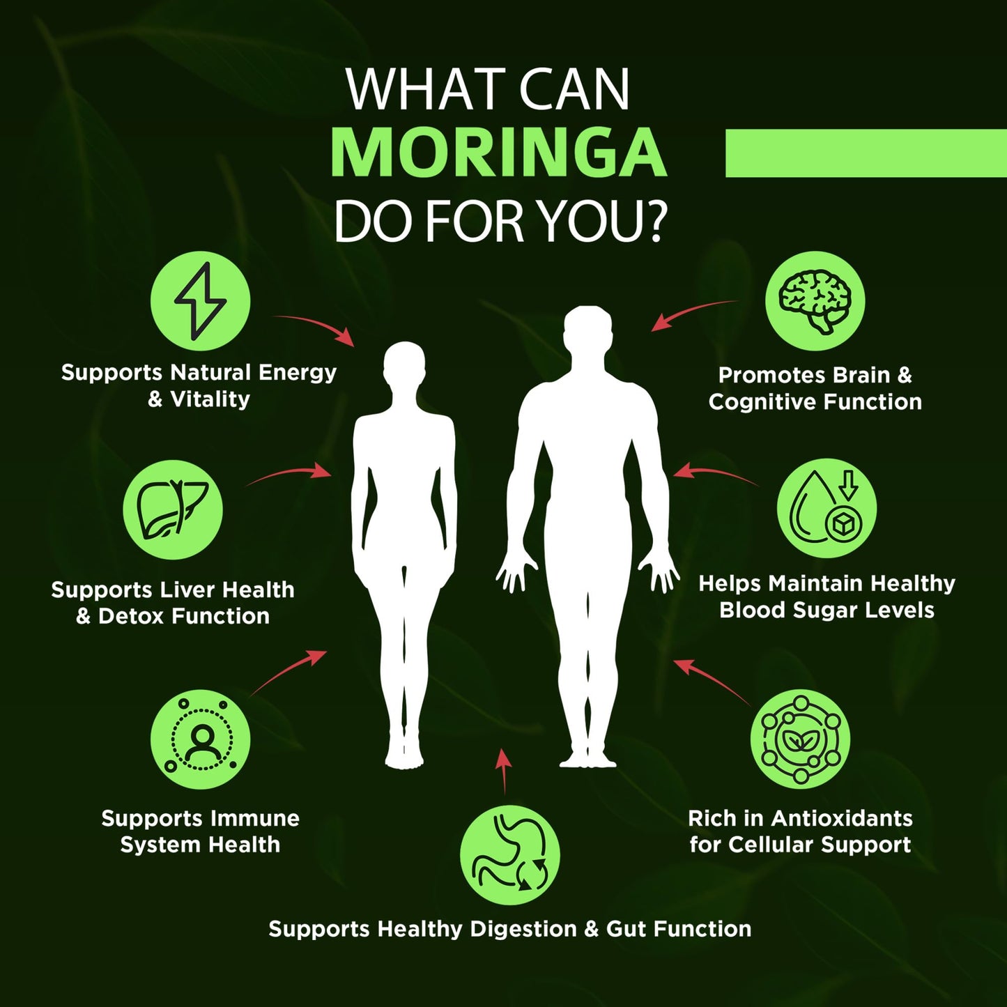 OmniBiotics Organic Moringa Capsules 1000mg Per Serving, 120 Count