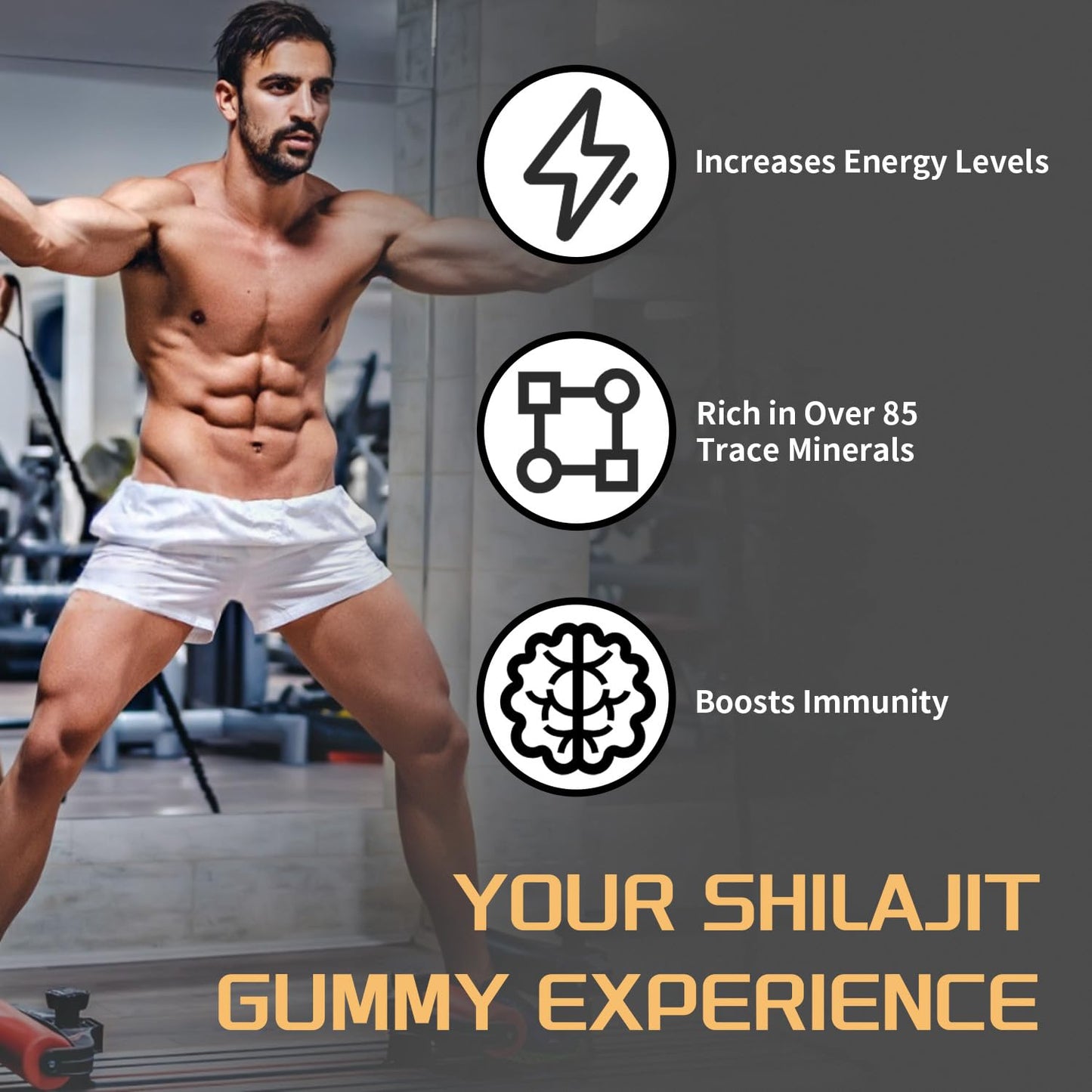 ZYGCDZ Shilajit Gold Capsules, 80 Count
