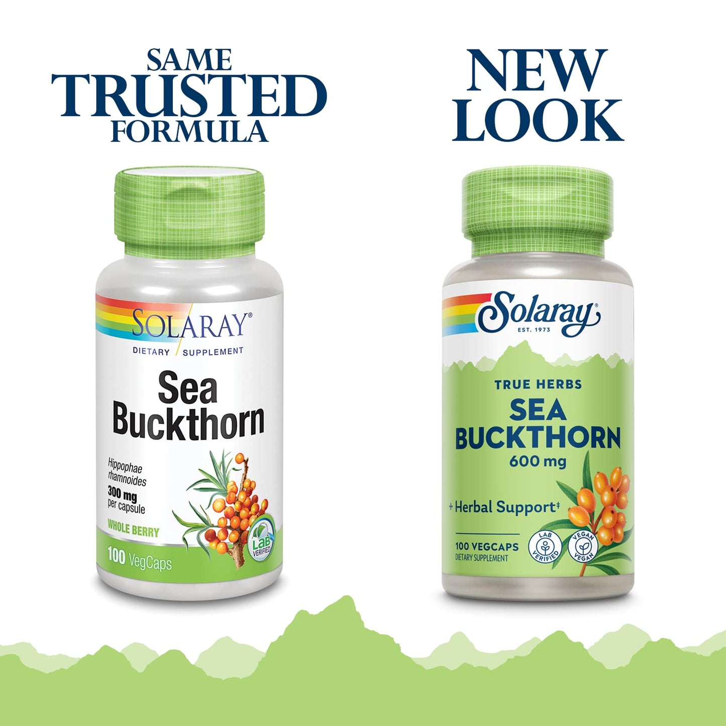 SOLARAY Sea Buckthorn Berry Capsule 100 Count