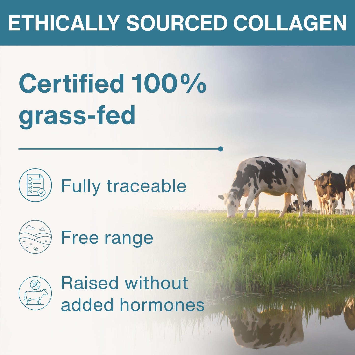Igennus Healthcare Nutrition Advanced Grass Fed Hydrolyzed Bovine Collagen Peptides Powder 14.1 oz