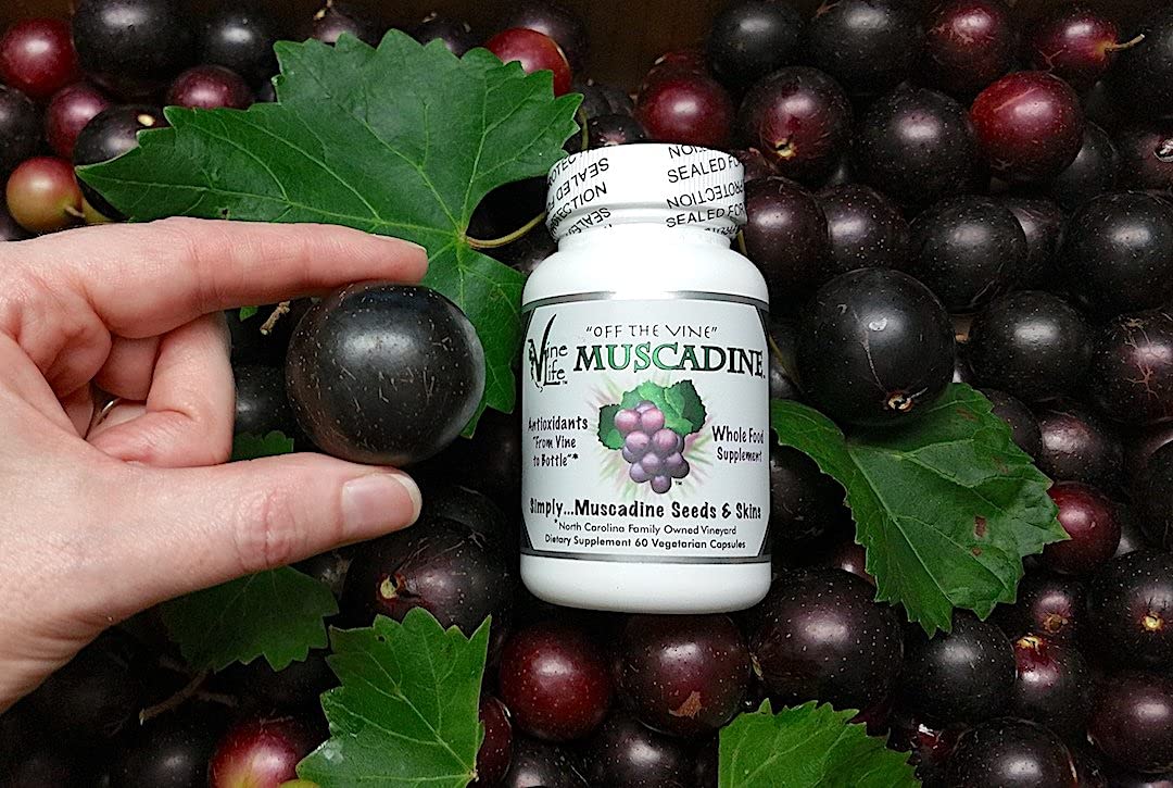 Vine Life Muscadine Grape Seed & Skin 650mg Vegan Capsules 60 Count
