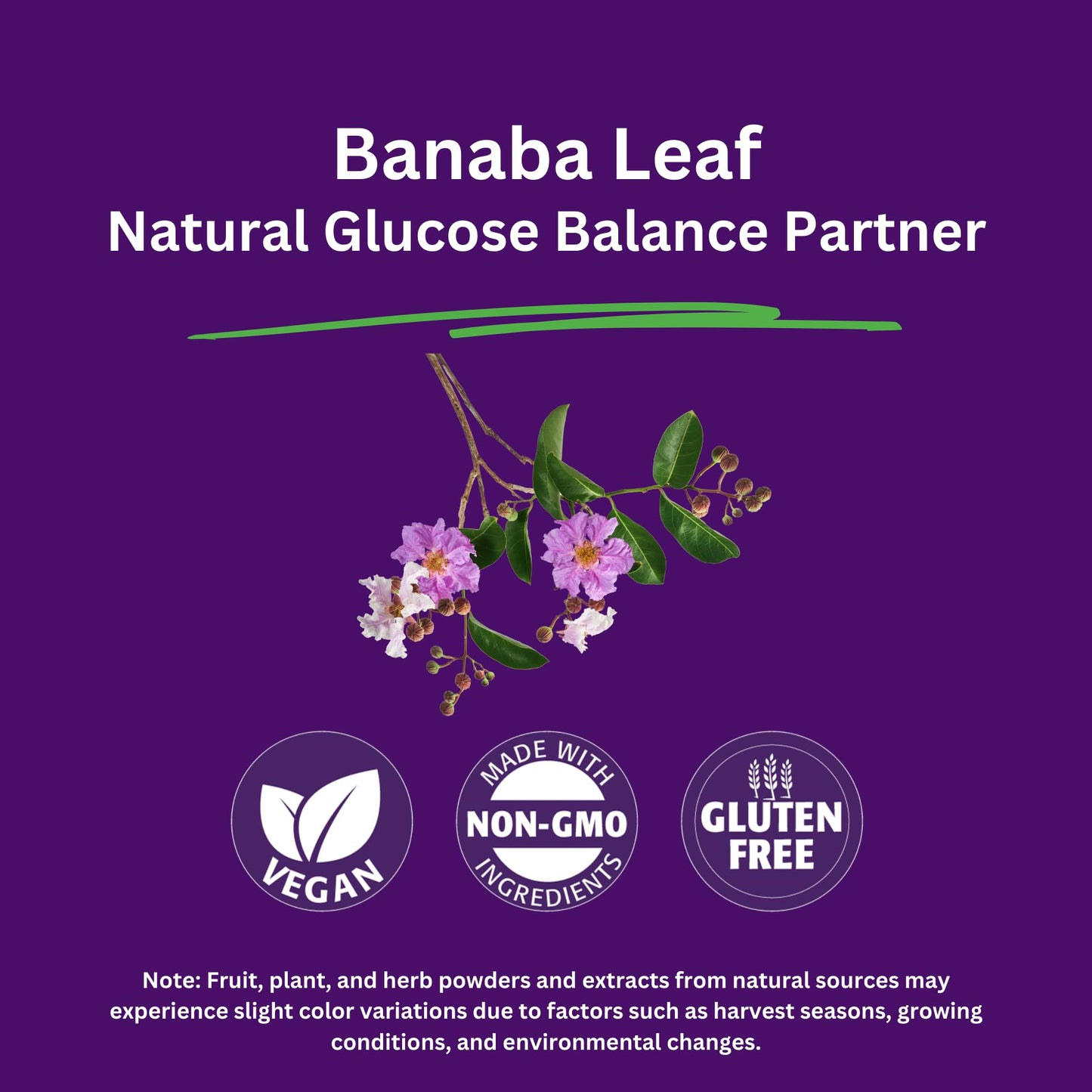 Paradise Herbs Banaba Leaf 12:1 Concentrated Extract 250 mg Capsules, 60 Count