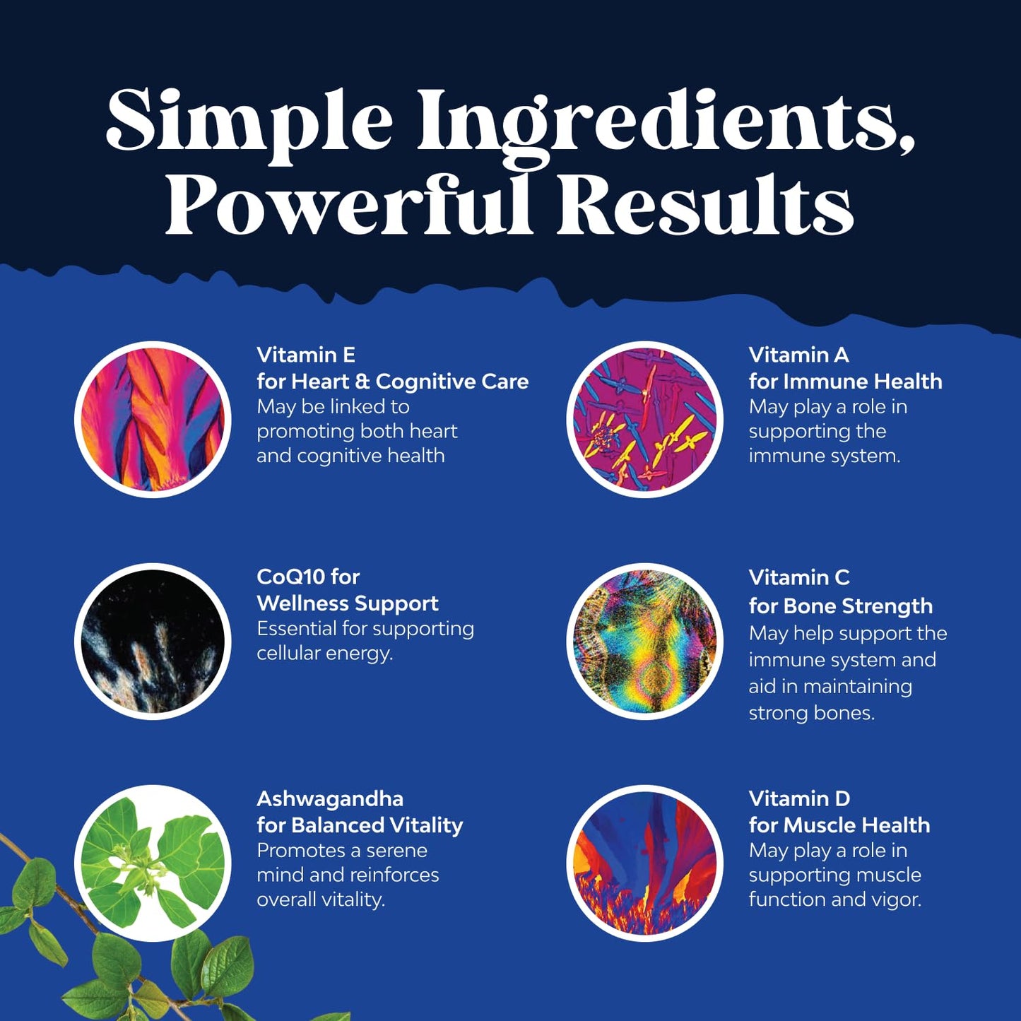 Natures Craft Daily Mens Multivitamins Gummies 90 Count