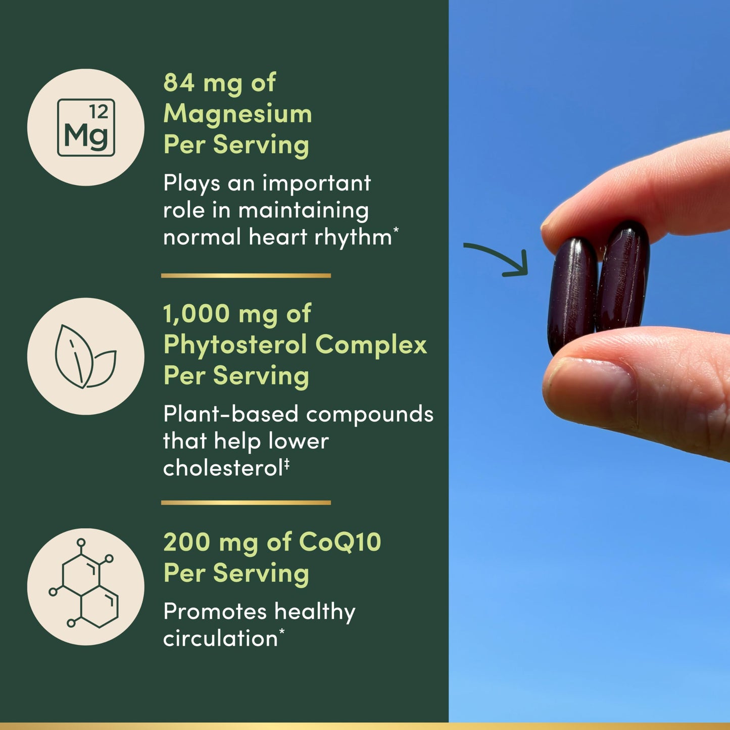 Nature's Bounty Advanced Vital Heart with CoQ10 + Magnesium Softgels, 60 Softgels
