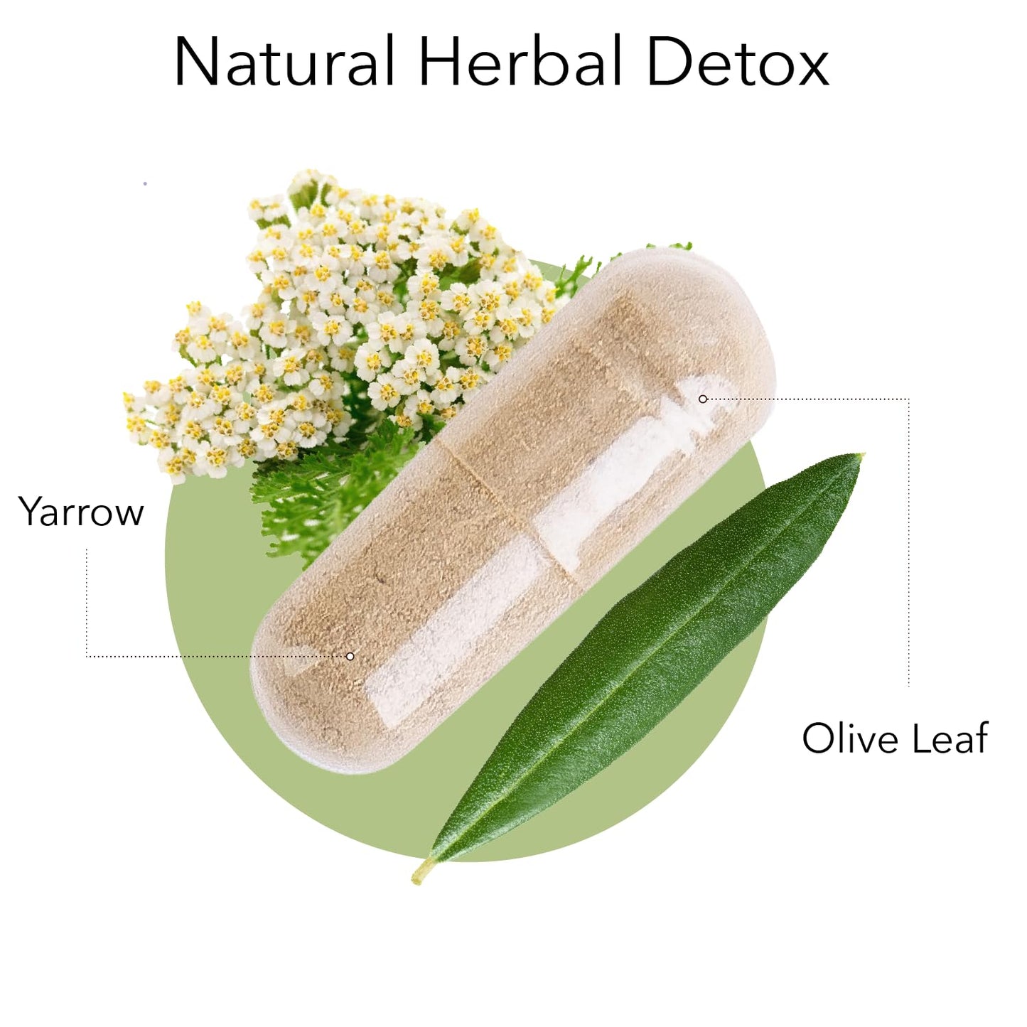 Kroeger Herb Products Olive Leaf Extract Capsules, 100 Capsules