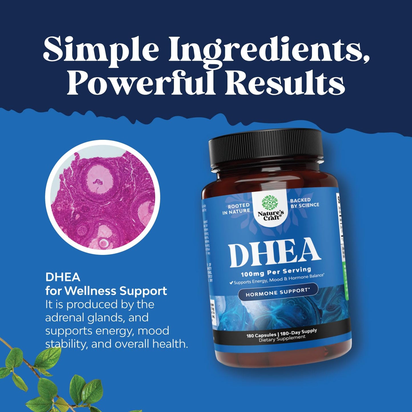 Natures Craft DHEA 100mg Capsule, 180 Count