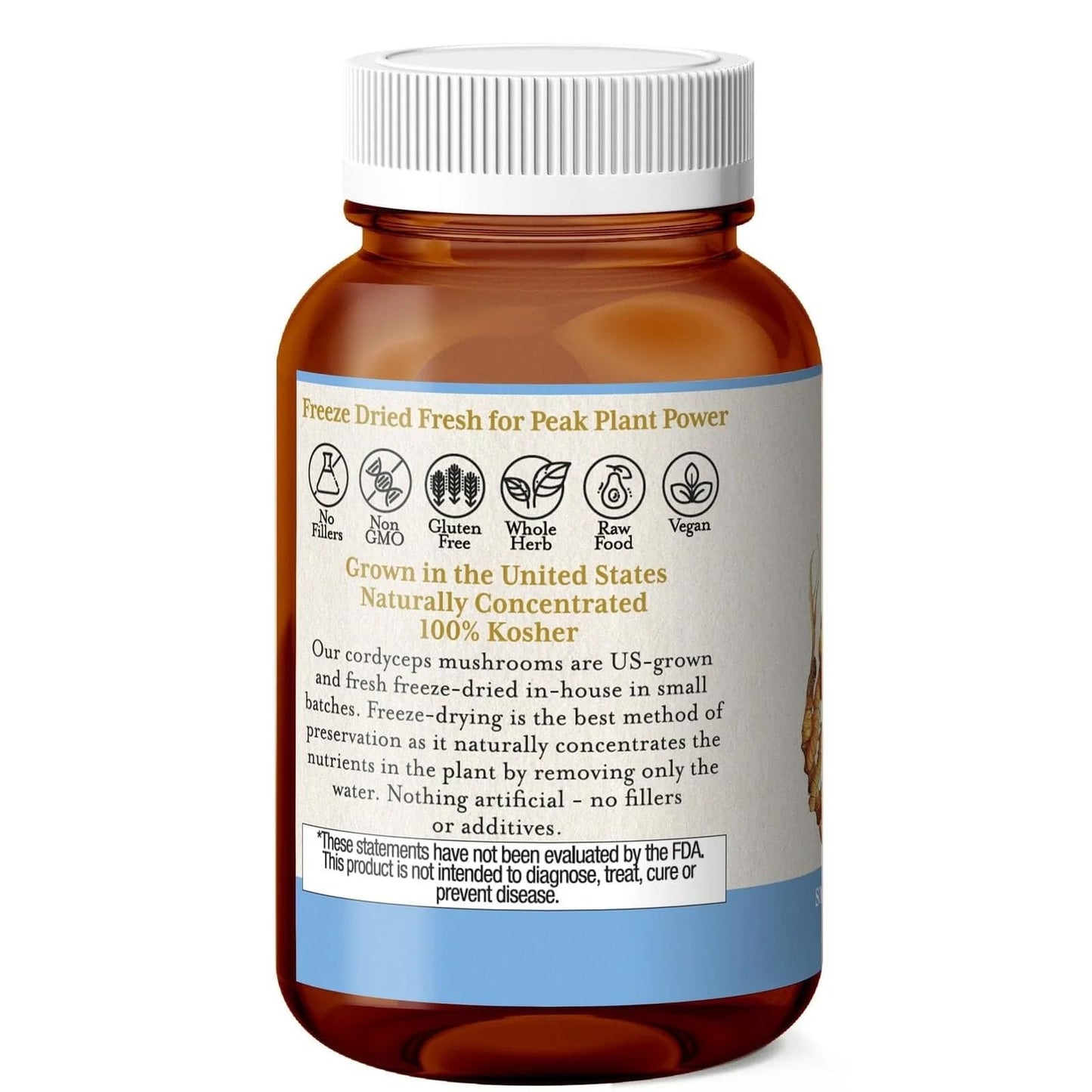 Eclectic Institute Cordyceps FDV Capsules 120