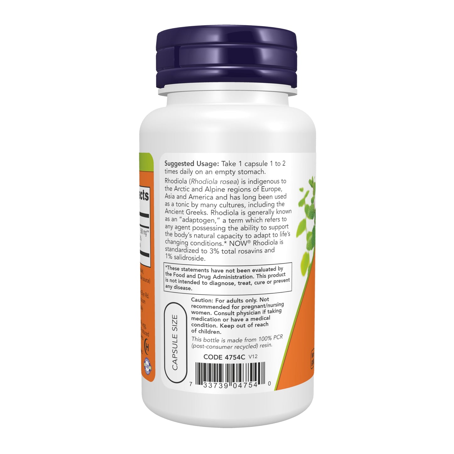 NOW Foods Rhodiola Rosea Capsules, 60 Capsules