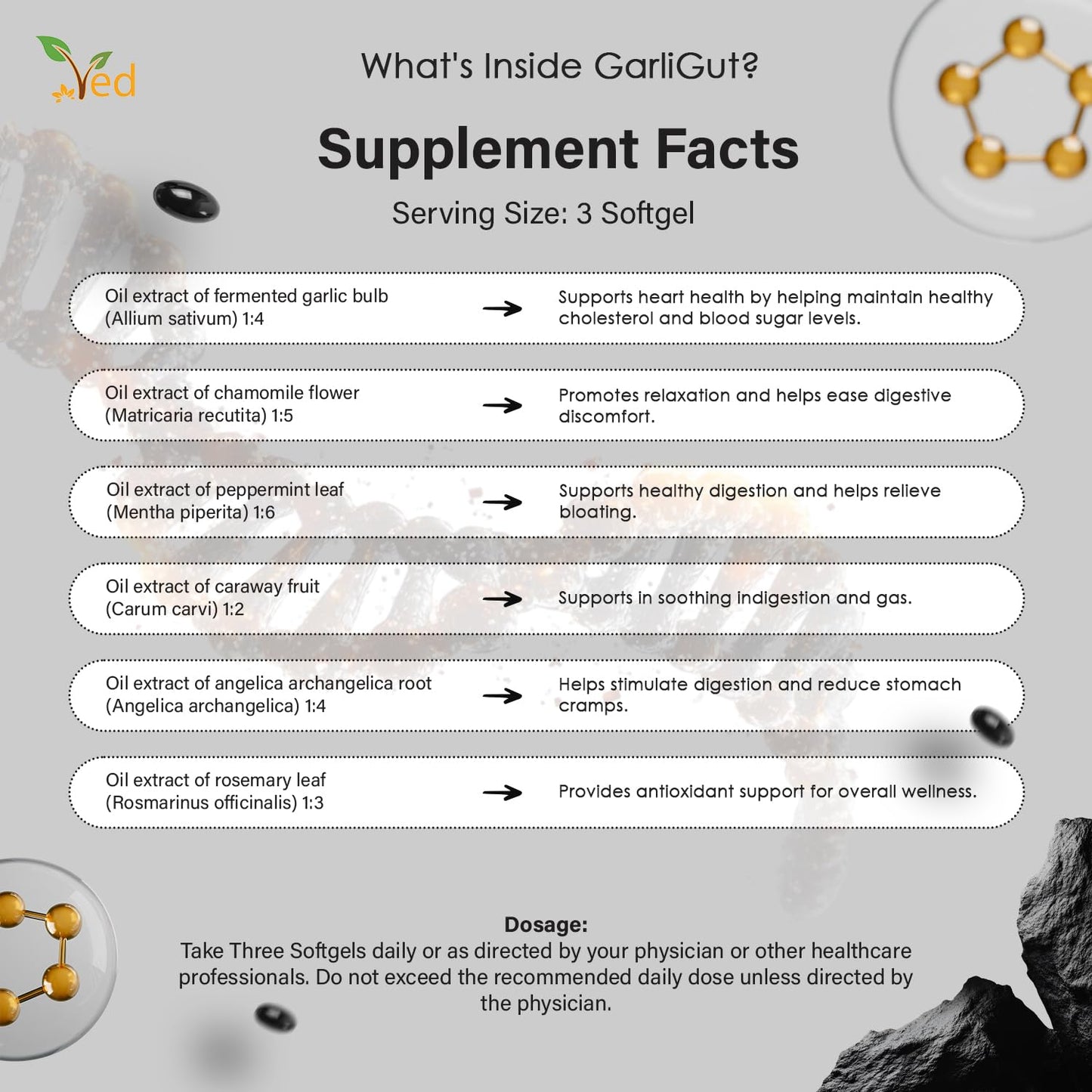 Ved GarliGut Softgels 90 Count