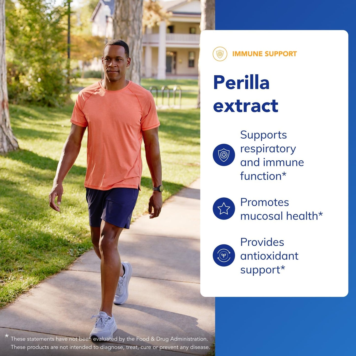 Pure Encapsulations Perilla Extract Capsule, 90 Capsules