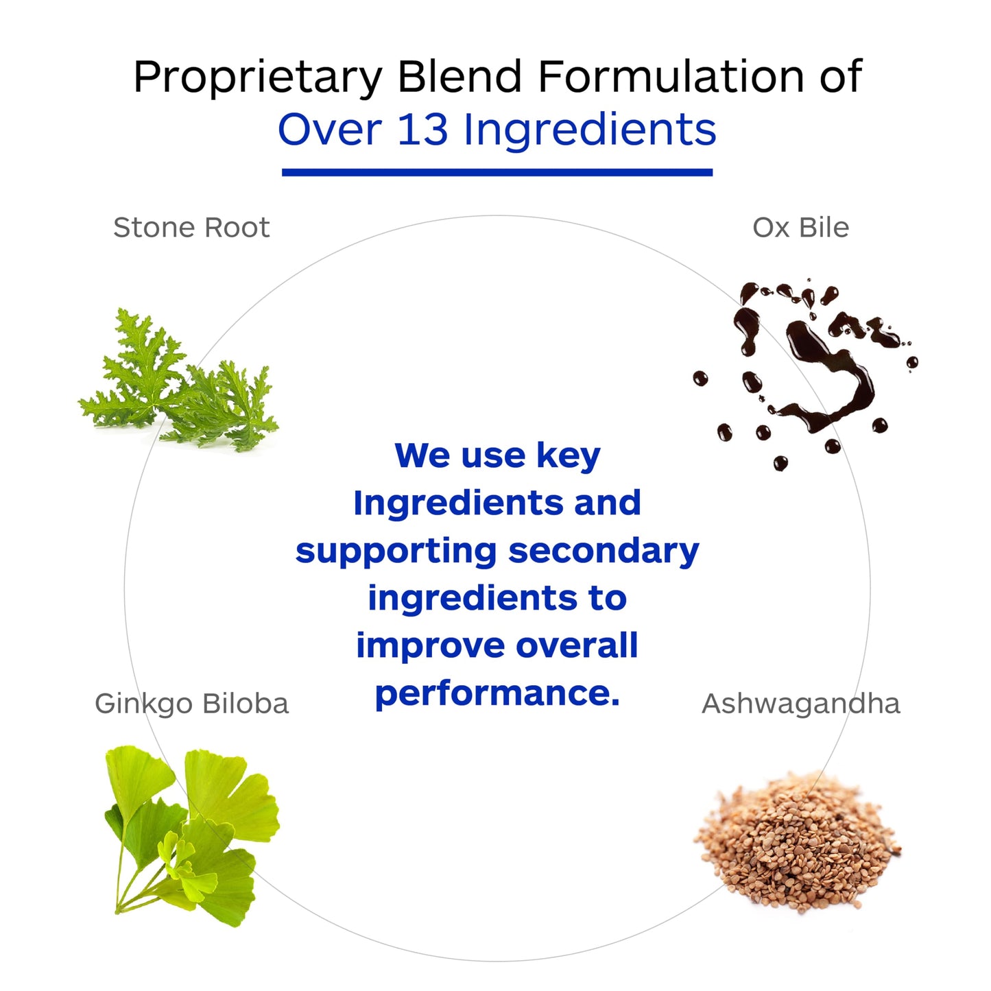 Professional Botanicals Circ-Q Blood Circulation Support and Vein Health Supplement Capsule 1