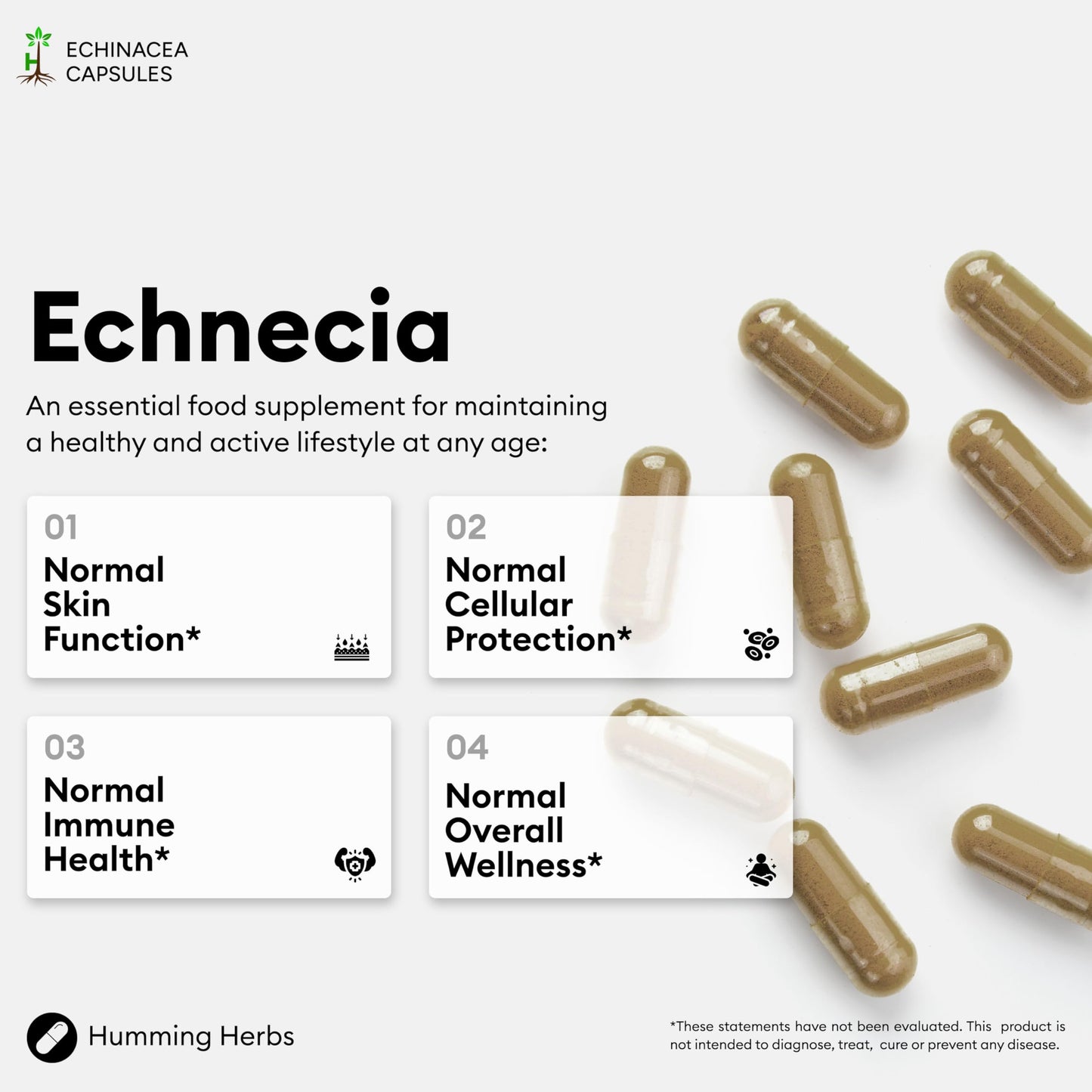 Humming Herbs Echinacea Complex Capsules 120 Capsules
