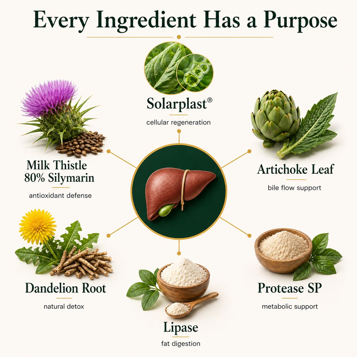 VESALIX Liver Support with Solarplast, Milk Thistle, Artichoke & Dandelion Capsule, 60 Count