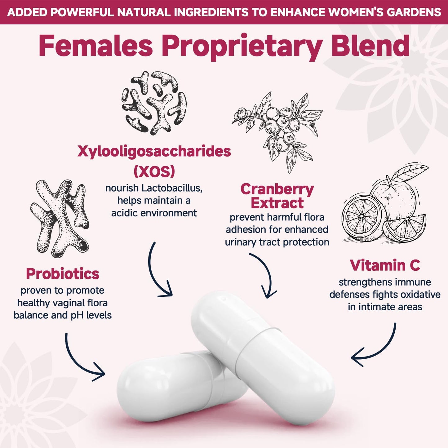 DRFOSTER Vaginal Probiotics for Women pH Balance with Prebiotics & Cranberry, 90 Capsules