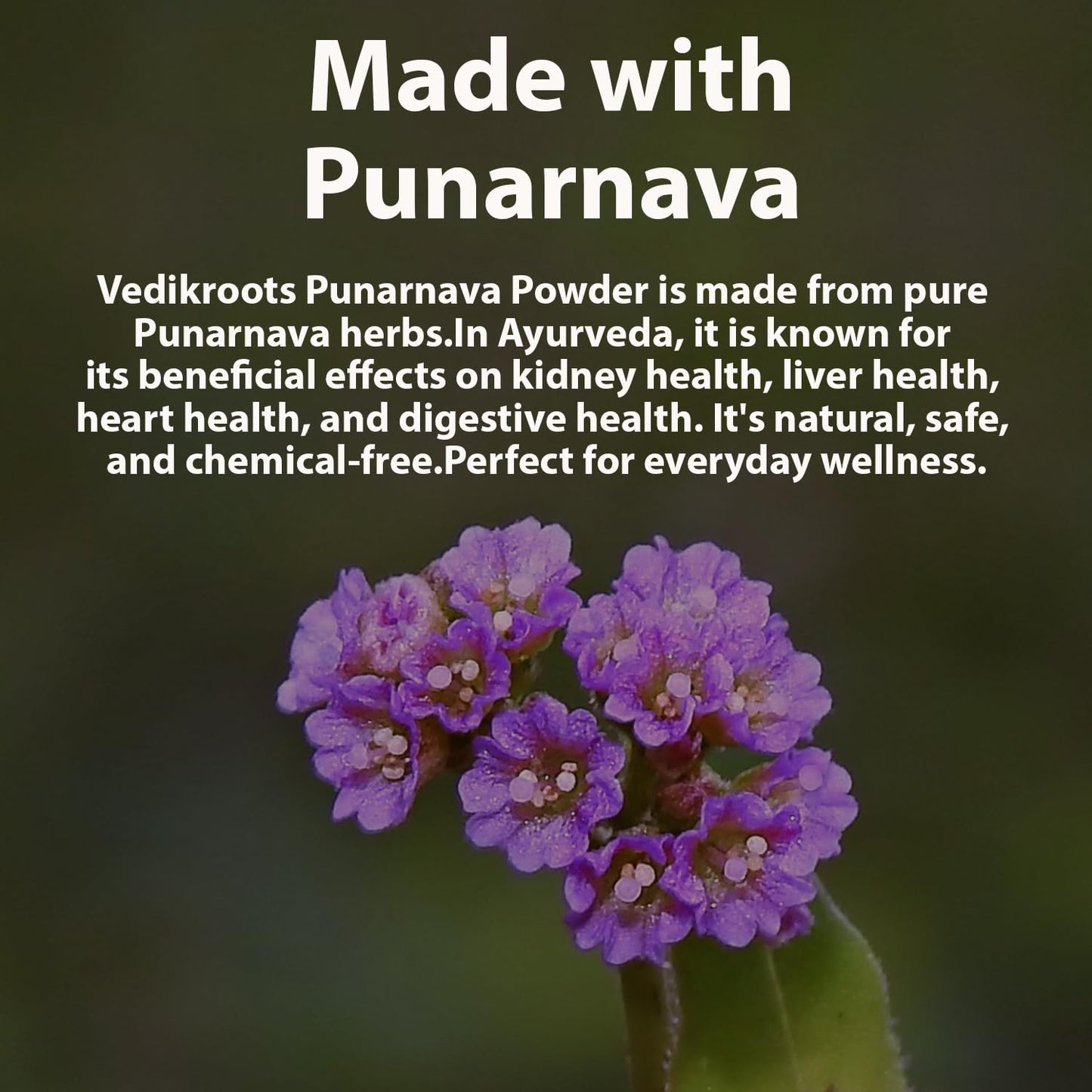 VEDIKROOTS Punarnava Powder 3.53 Ounce