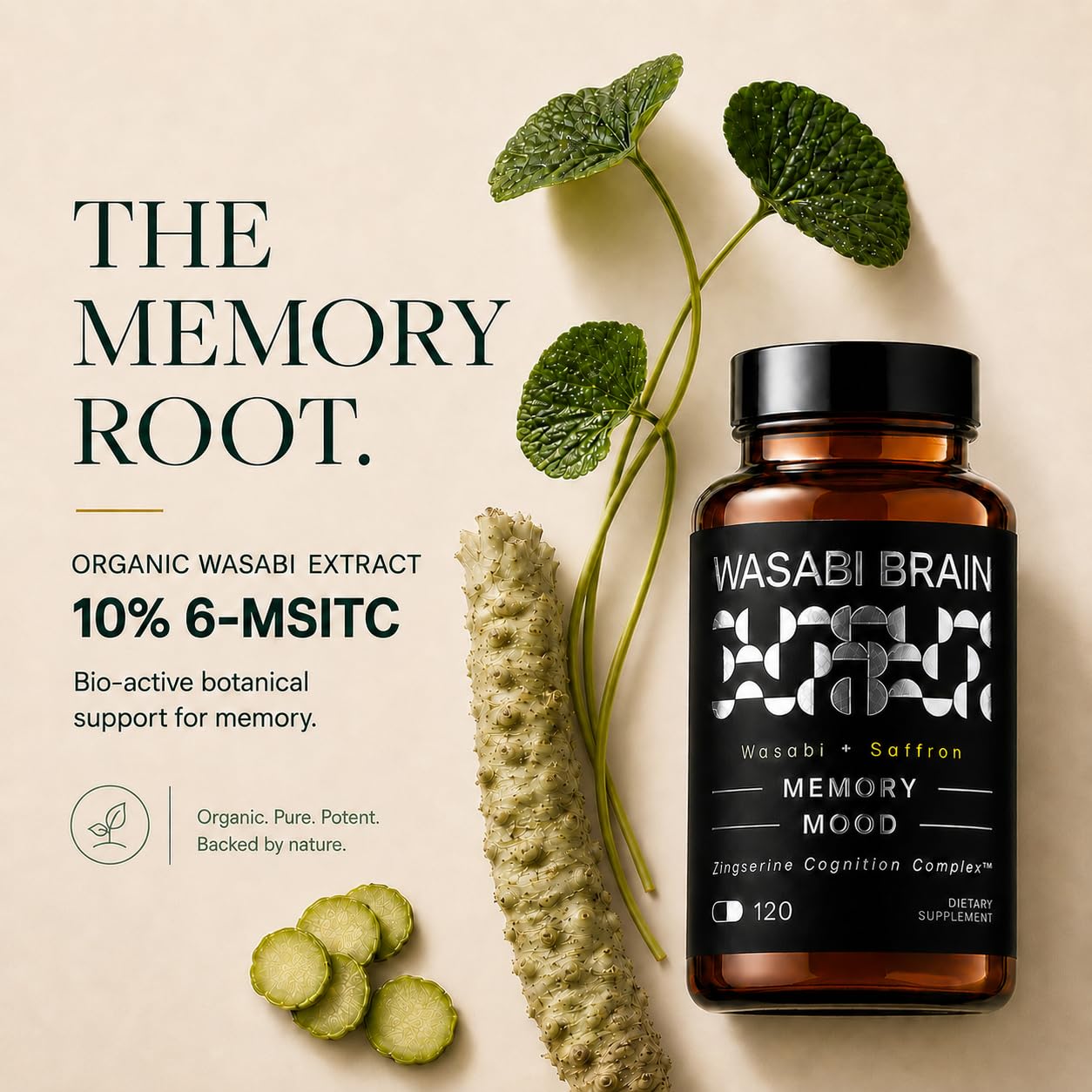 WASABI BRAIN Memory, Mood & Focus Supplement for Adults - Brain Health Formula with Organic Wasabi Extract, Saffron, Citicoline & Phosphatidylserine, 120 Capsules