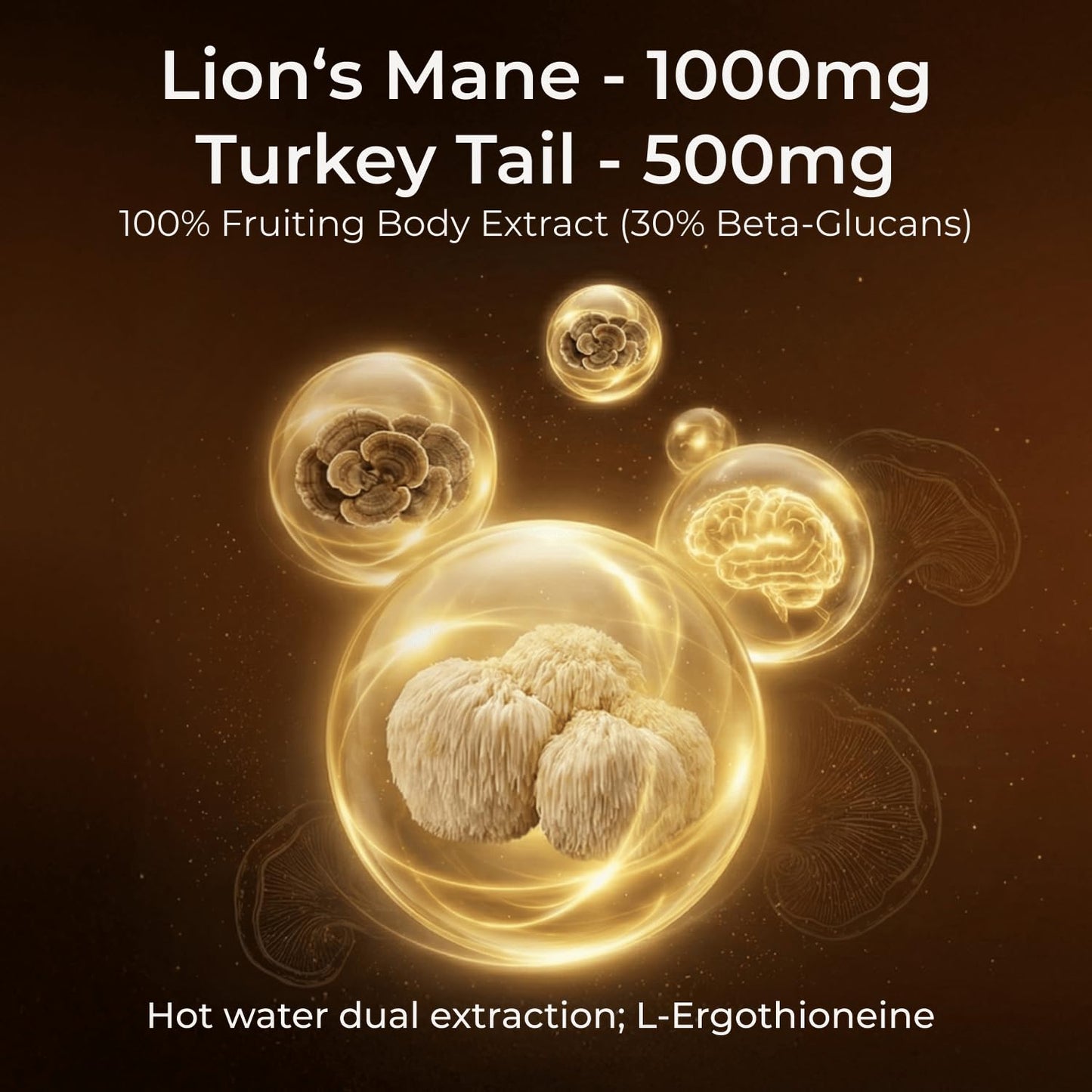 HojaSana Lion's Mane & Turkey Tail Mushroom Supplement Capsules, 90 Count