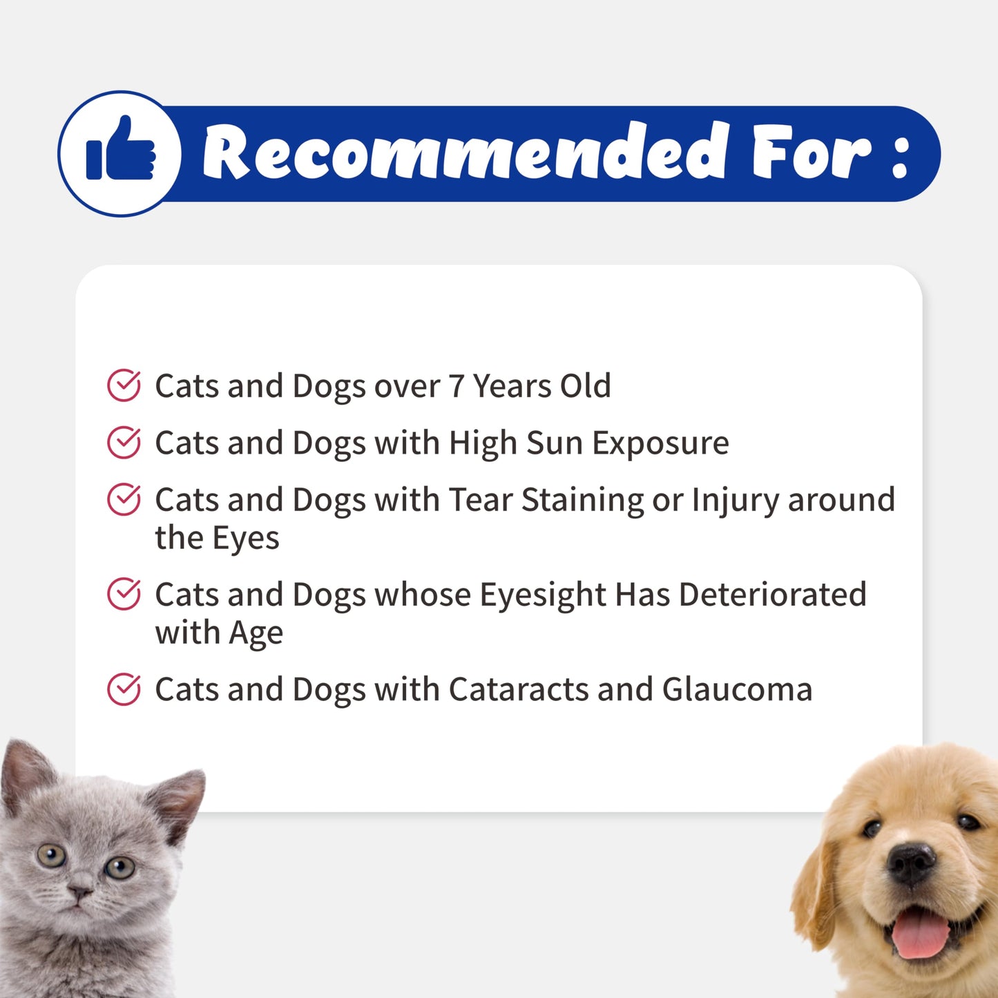 Branvine Eye Guardian for Cats and Dogs Chewable 117